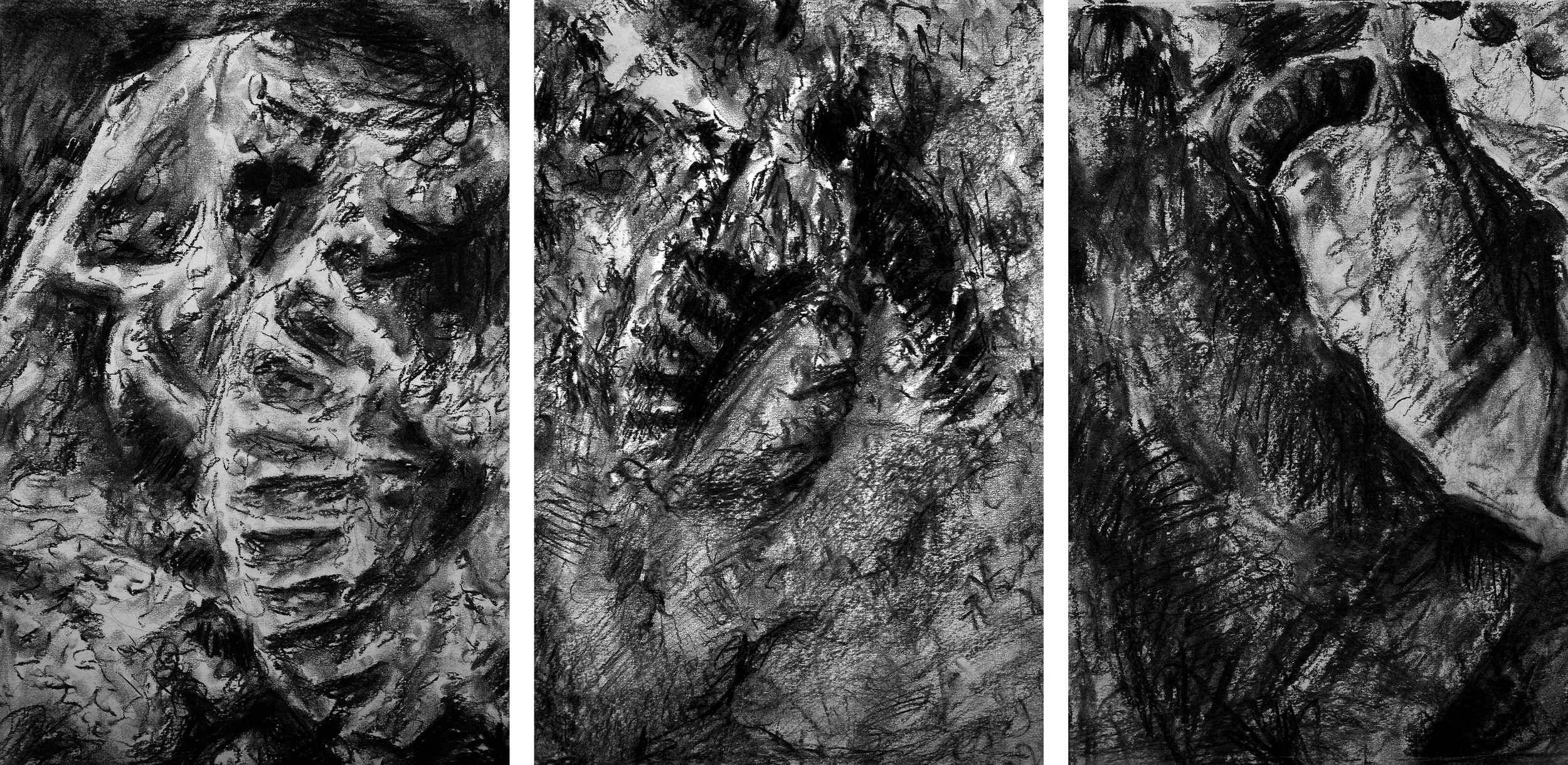 Phoebe Ainslie Cliff Full Triptych 2023.png