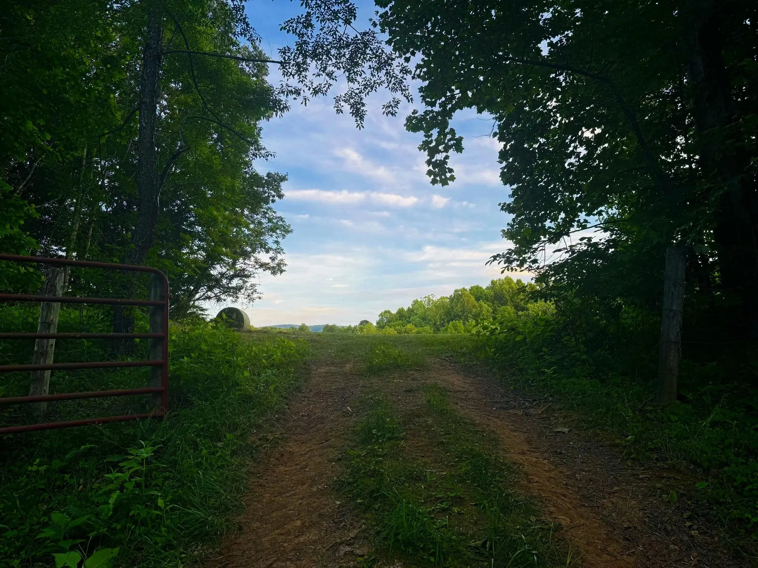 A dirt path through a wooded area with green trees on either side and a partly cloudy sky overhead.