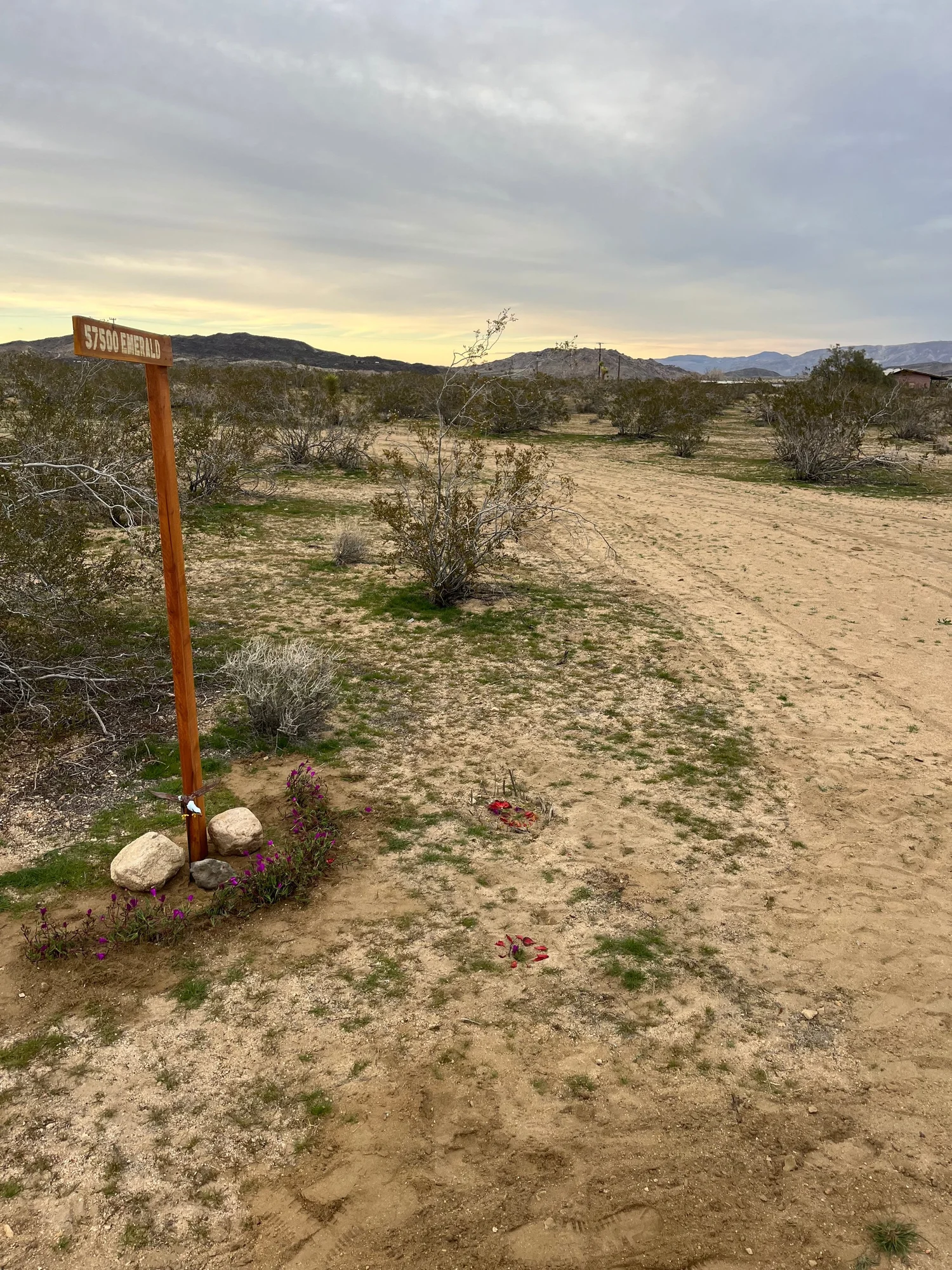 Desert trail at Moon Rock Ranch