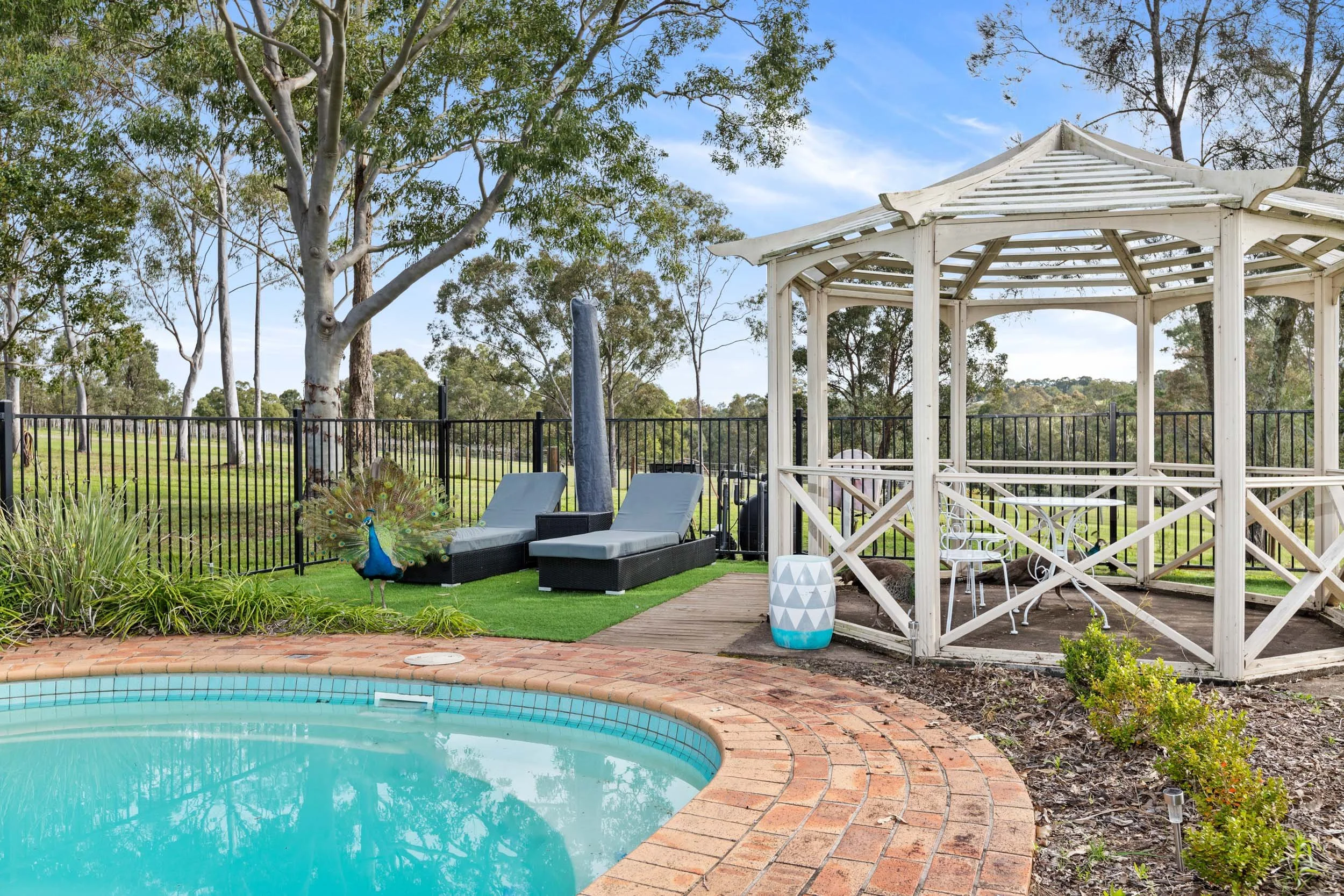 402 McMullins Rd Branxton-27.jpg