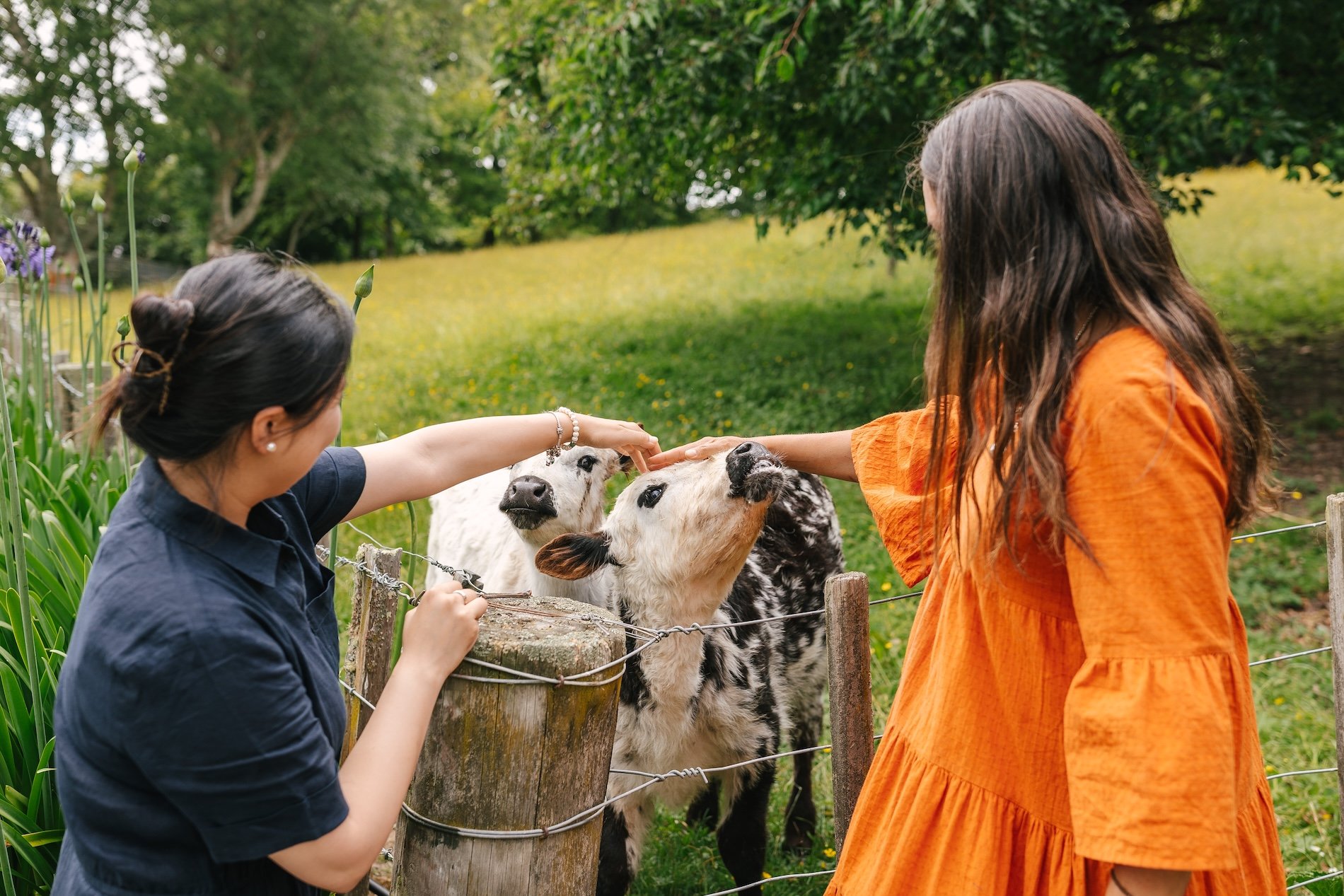 Rathmoy Estate Farm Tour