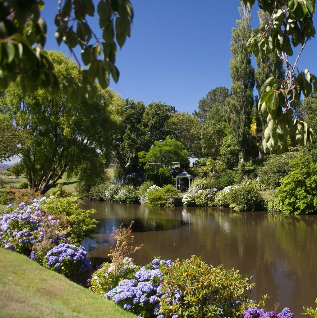 The peaceful Rathmoy garden with a pond surrounded by lush green trees and colourful flowers under a bright blue sky in Rangitikei.