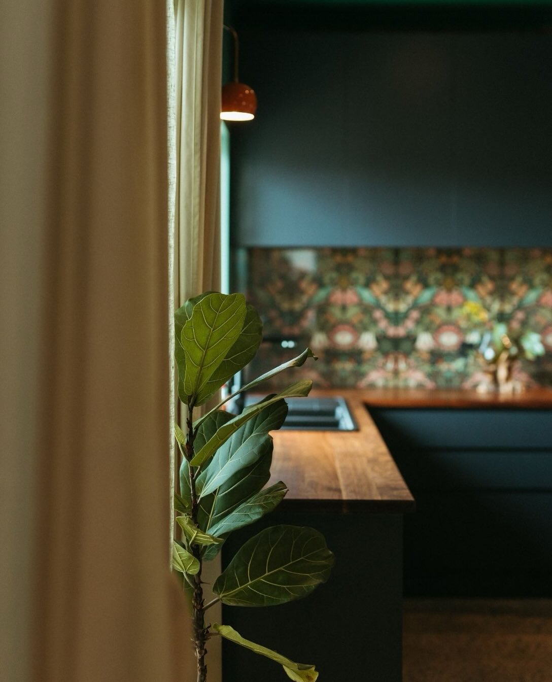 Wrapped in deep green from walls to ceiling, this kitchen was designed to feel immersive rather than purely functional.

A patterned wallpaper splash-back brings softness and movement, while a beautifully coloured oven adds another layer of personali