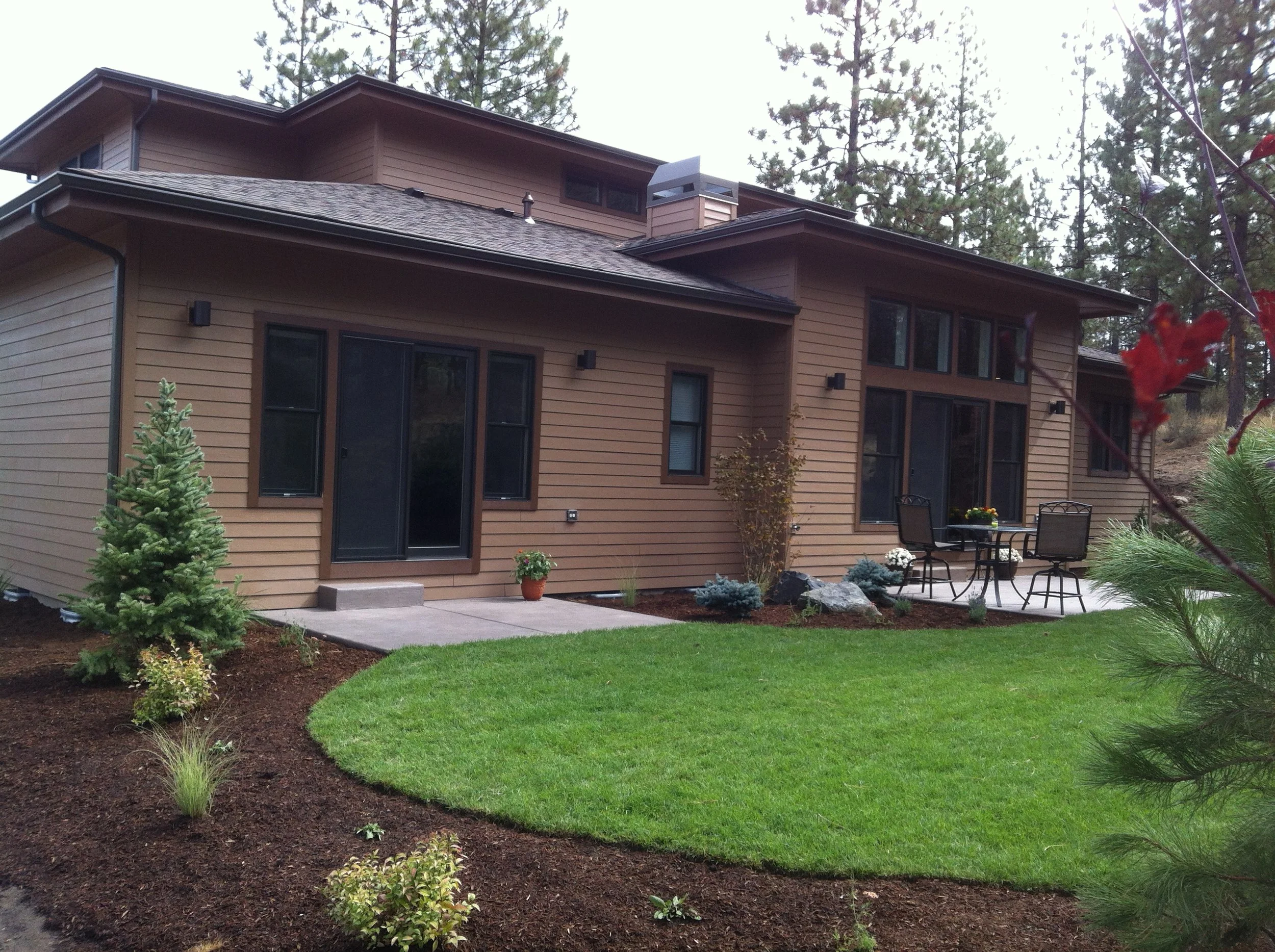 back yard 1.jpg