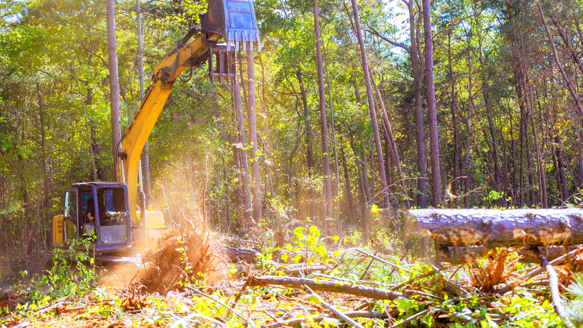 A yellow excavator with a large arm and bucket clears fallen trees and debris in a dense forest during daytime.