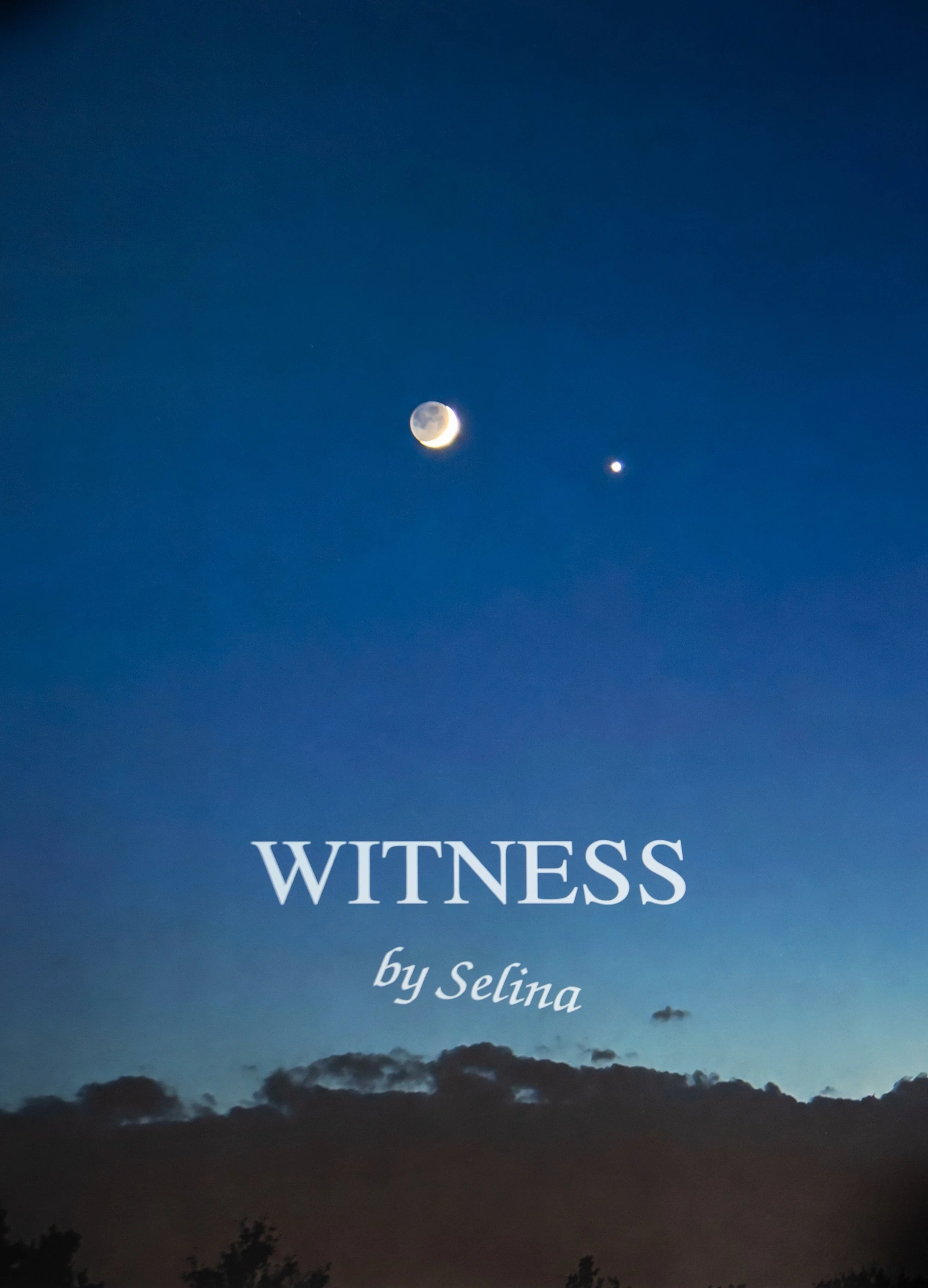 Witness