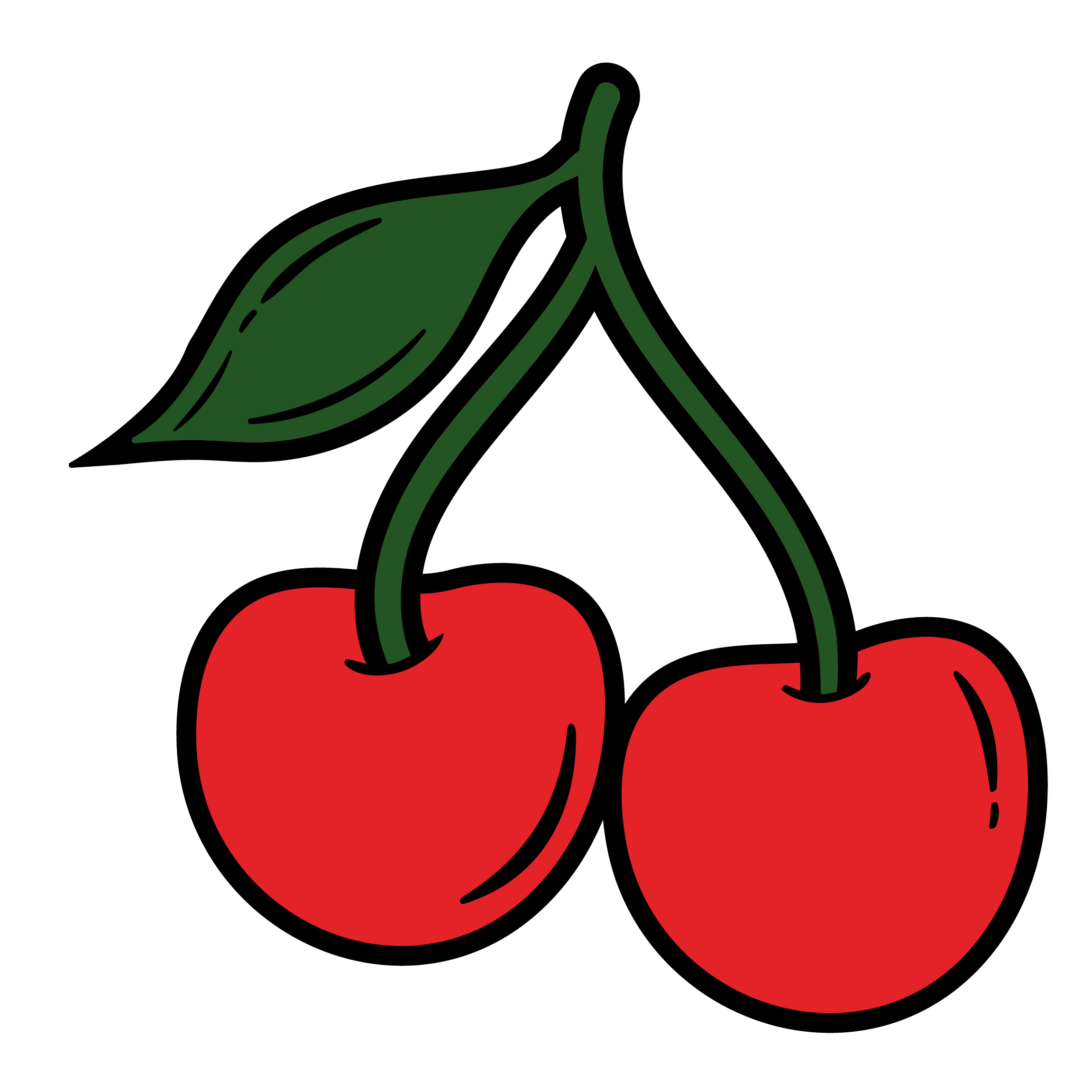 A stylized illustration of a pair of cherries