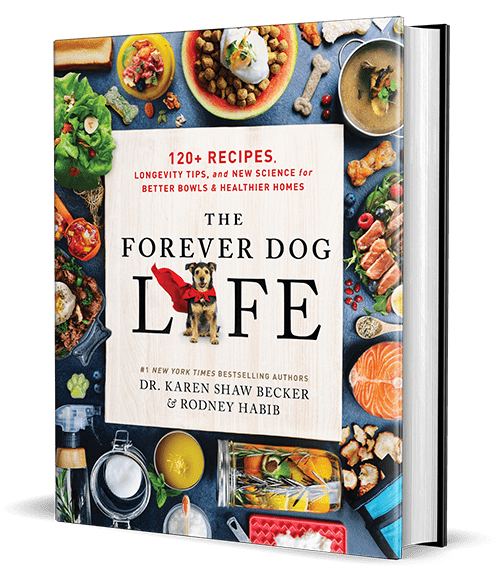 Cover of a cookbook titled "The Forever Dog Life", with images of dog-friendly food and treats around the border, and text indicating recipes, longevity tips, and science for healthier homes.
