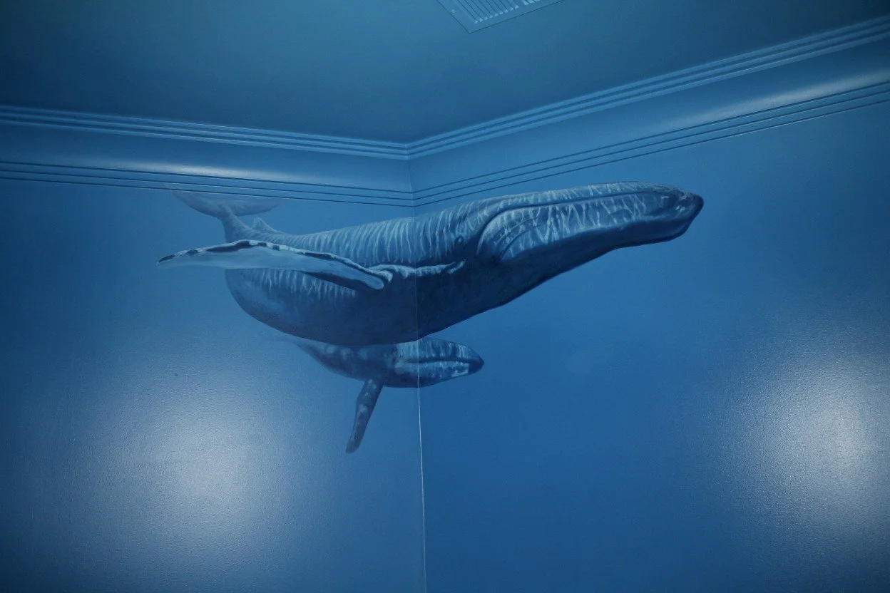 Wall mural of two gray-blue whales swimming in a blue underwater scene.