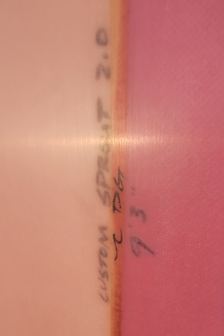 CJ Nelson Pink Sprout 2.0 3.png