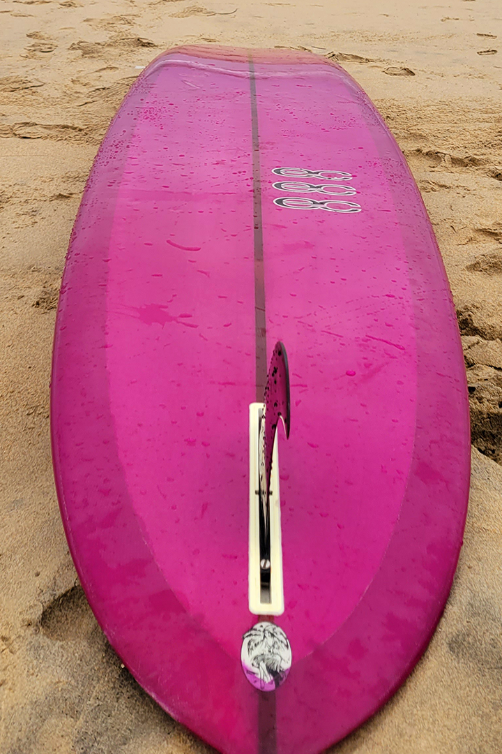 EC Surfboards Pintail Noserider 3.png