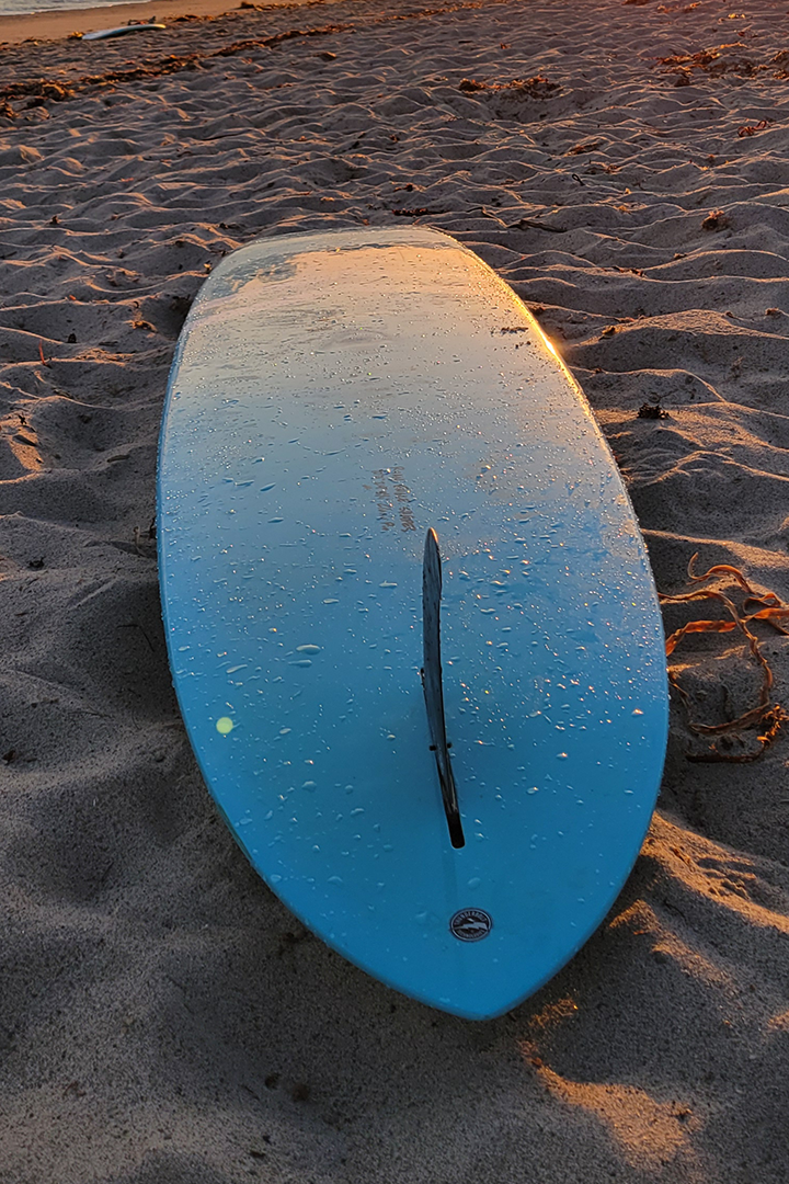 CJ Nelson Classic Pintail 3.png