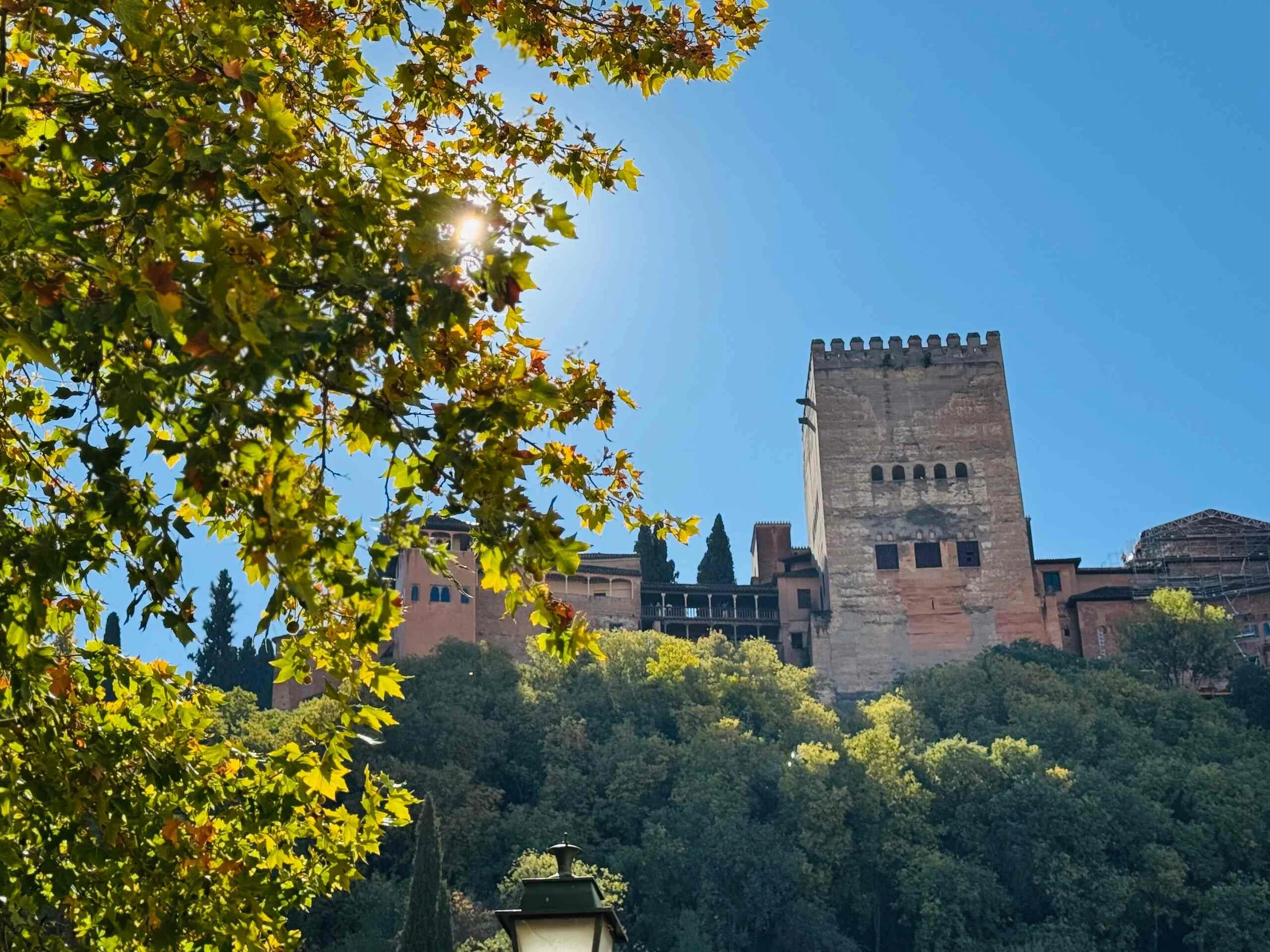 A blue sky with the sun partially hidden behind green and yellow leaves of a tree, with a historic stone tower and buildings in the background, and a black lamppost in the foreground.