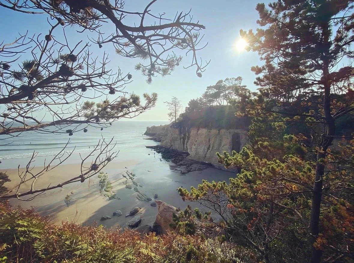 A scenic coastal view with a sandy beach, rocky cliffs, and pine trees, during a sunny day.