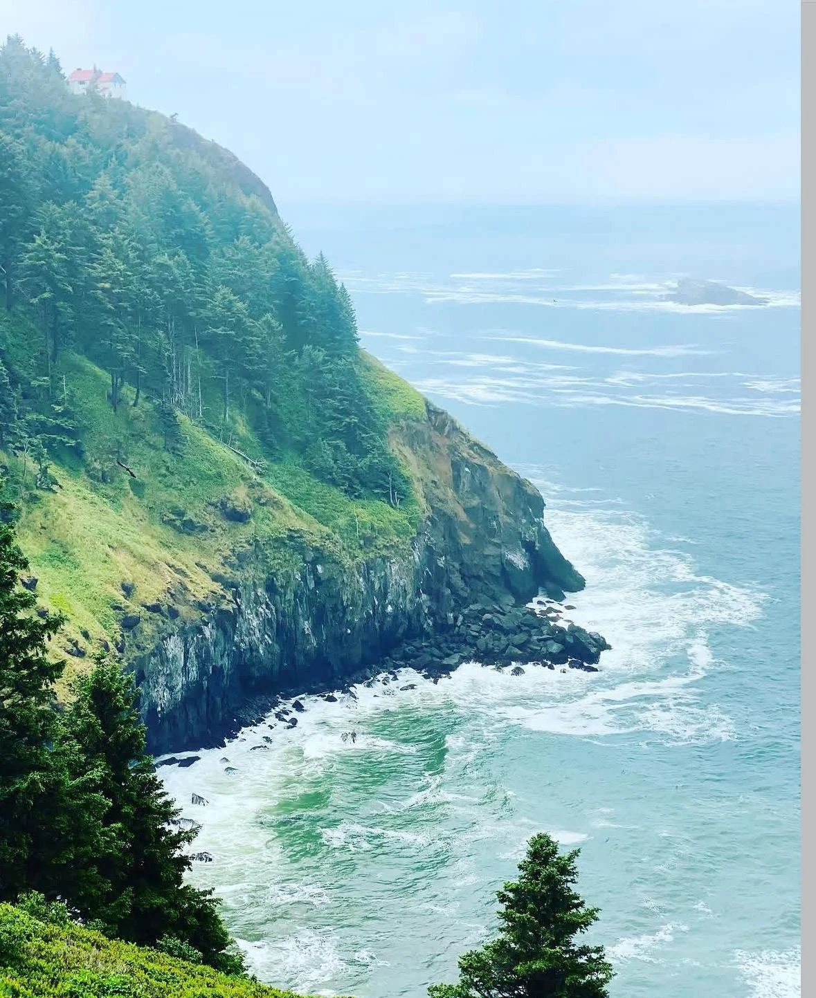 Coastal cliff with lush green trees and rocks, overlooking the ocean with waves and distant mist.