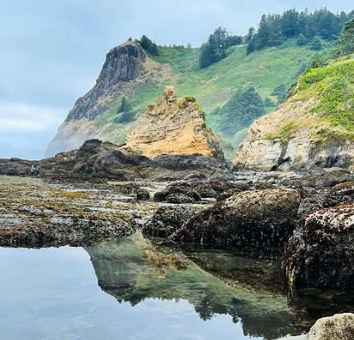 A rocky coastline with tide pools and a large rock formation with a carved face, surrounded by green hills and cliffs, under a cloudy sky.