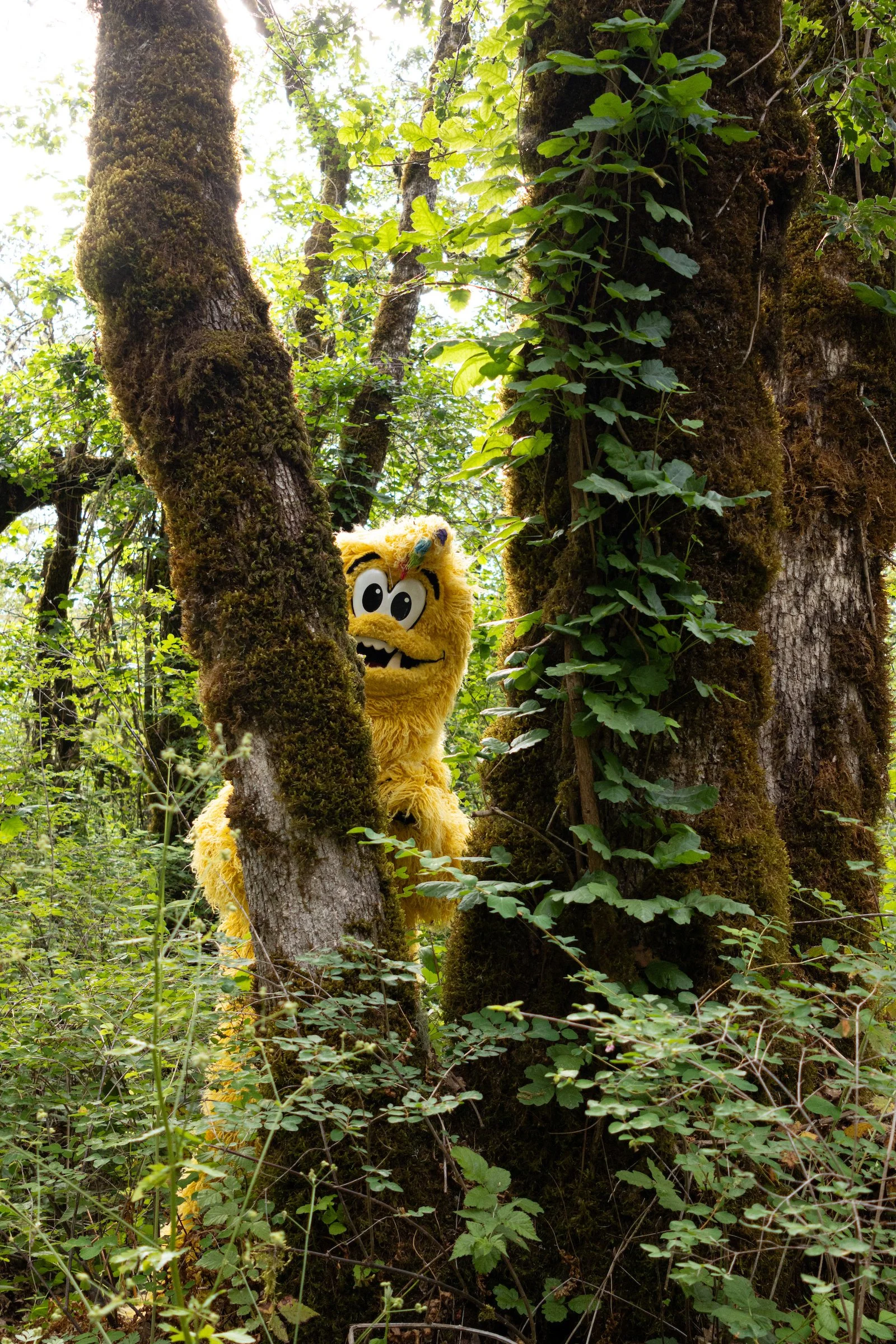 News: Legend the Bigfoot returns as the Official Mascot of World Athletics U20 Championships Oregon 26