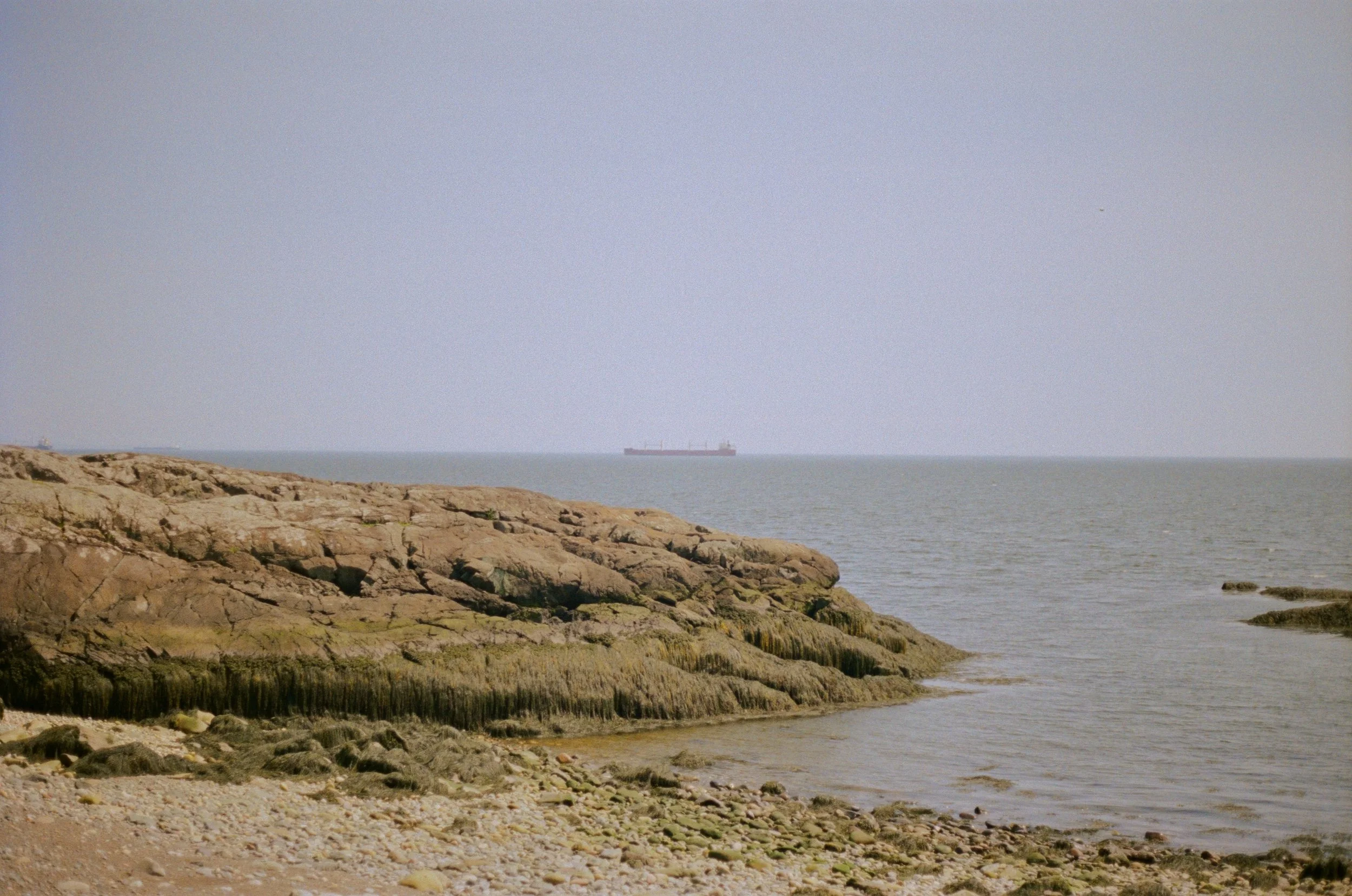 A rocky shoreline with moss-covered rocks and a sea or ocean extending to the horizon, where a large cargo ship is visible in the distance under a cloudy sky.