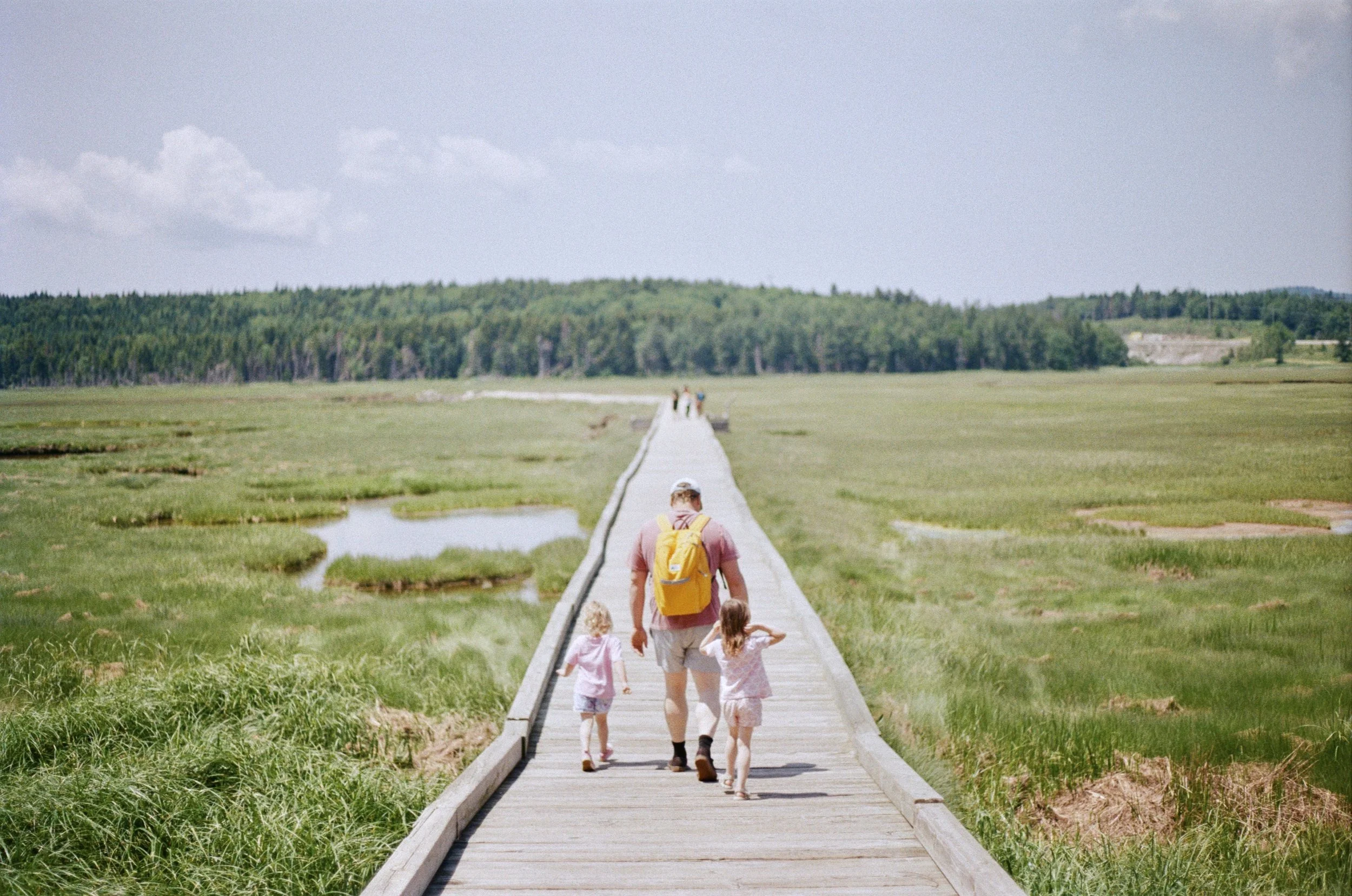 A family of four, including two children, walking on a narrow wooden boardwalk through a vast marshland with green grass and water patches, with a backdrop of distant trees under a partly cloudy sky.
