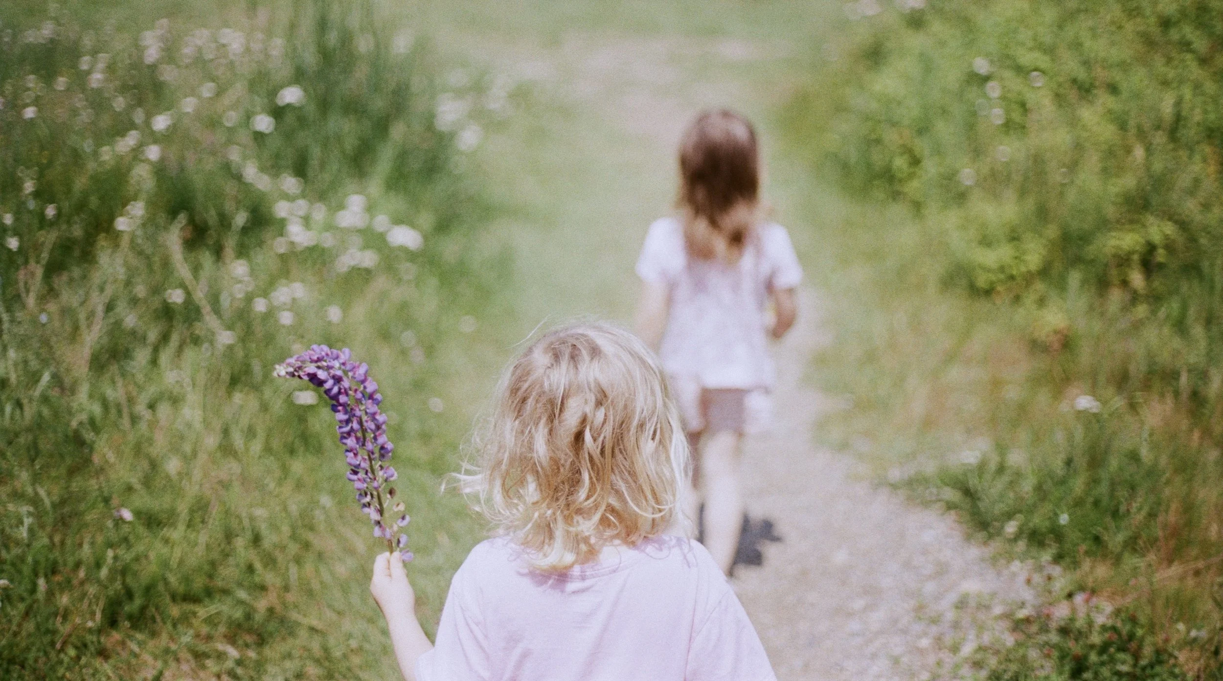 Two young girls walking down a grassy path surrounded by greenery. The girl in front is holding a bunch of purple flowers and the girl behind has long blonde hair.