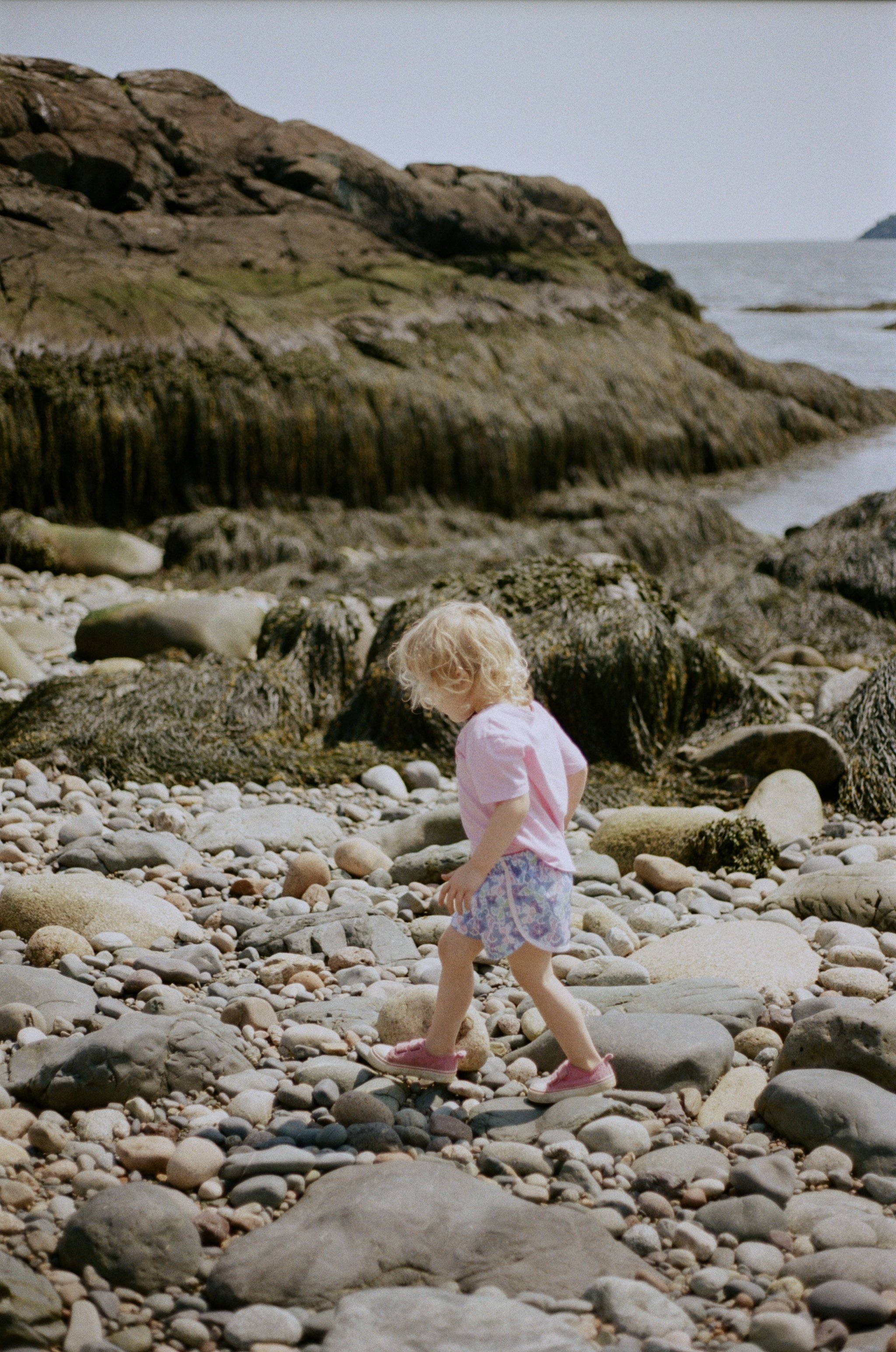 A young child with curly blonde hair, wearing a pink shirt, purple patterned shorts, and pink shoes, walking on a rocky beach filled with various-sized stones, near a large rocky cliff and the ocean.