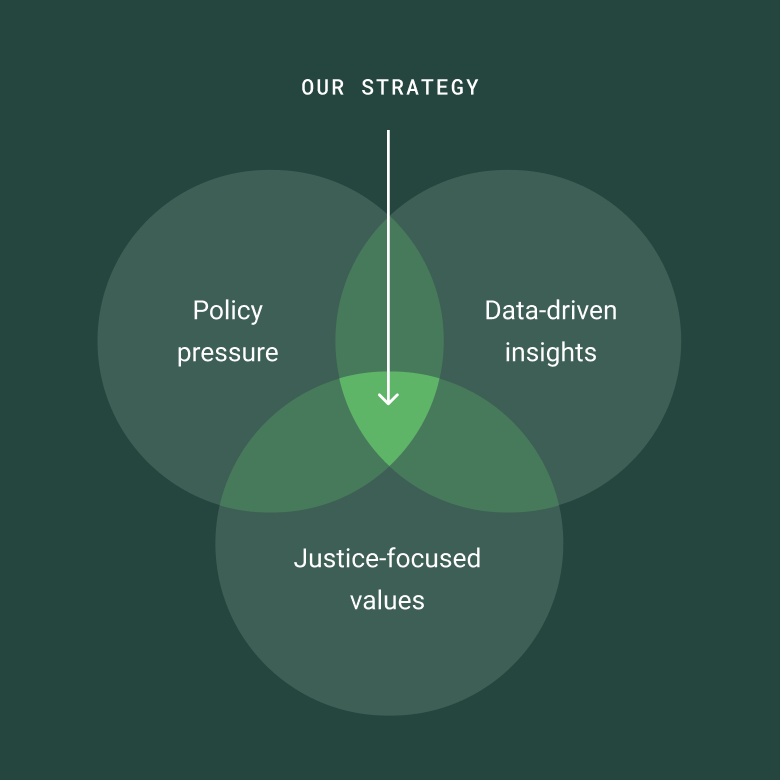 Environmental Voter Project strategy diagram