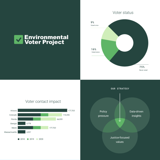 Environmental Voter Project brand asset samples