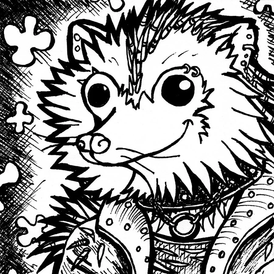 ink drawing of hedgehog punk pet witte artistry kim witte