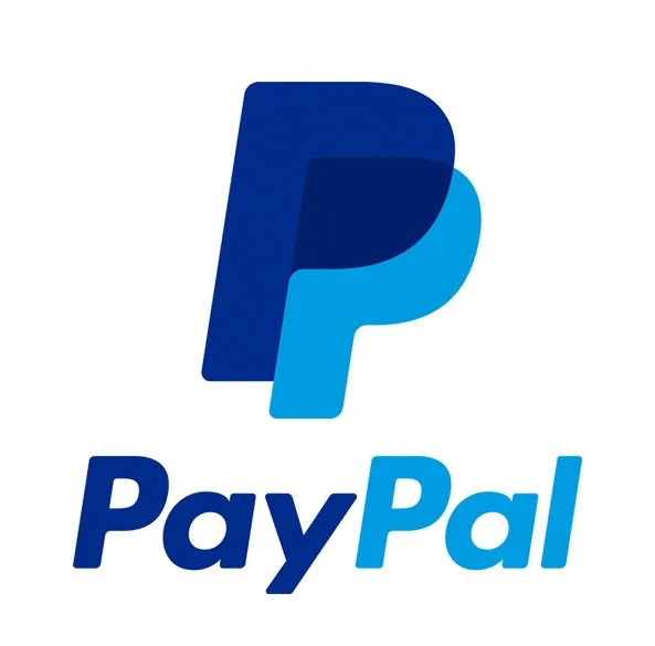 pay pal for face painter madison wisconsin pay pal witty artistry witte artistry wittykittyfacepainting