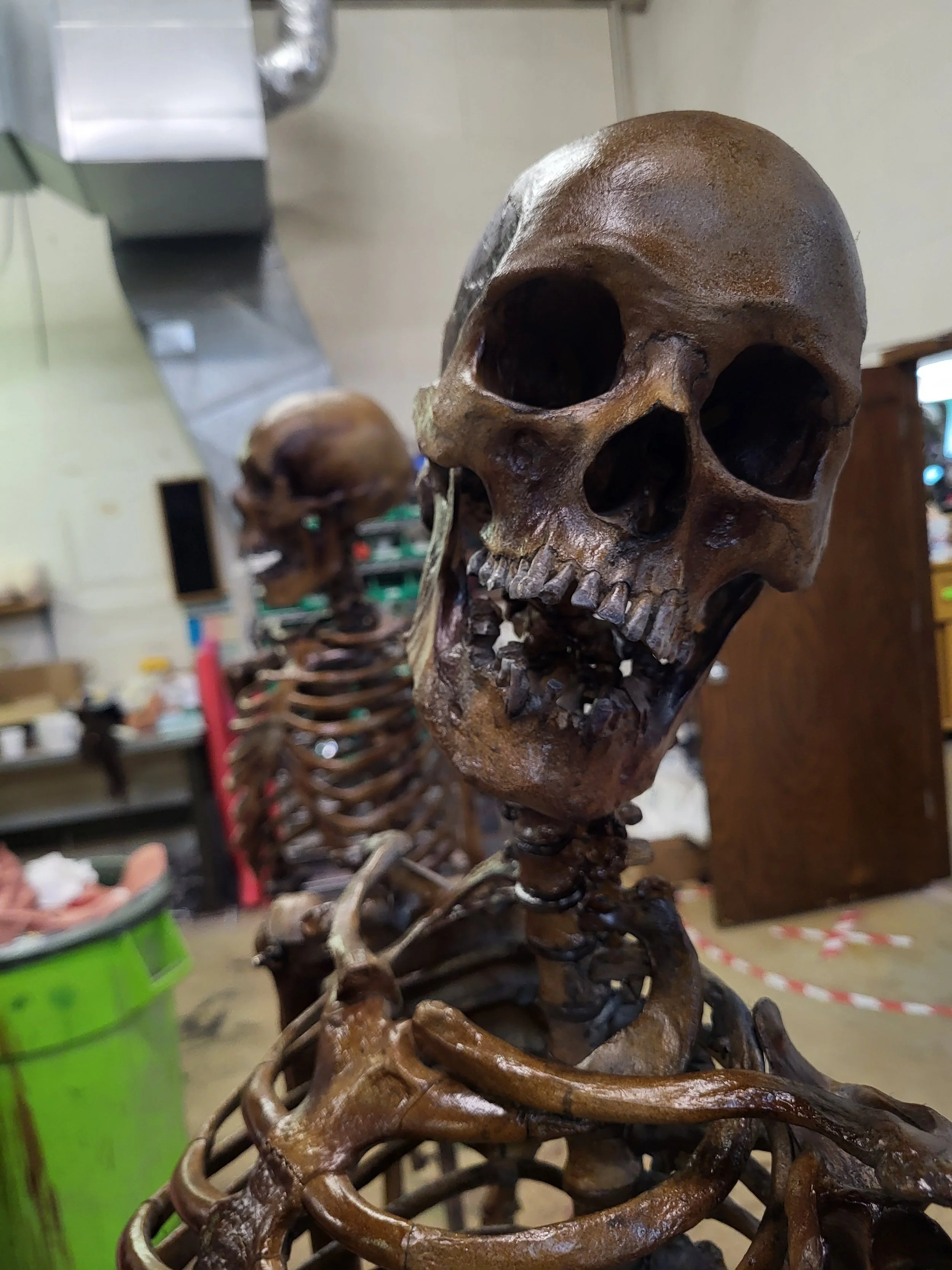 aged dark colored skeleton prop for movies sfx mua witte artistry prop maker madison wisconsin