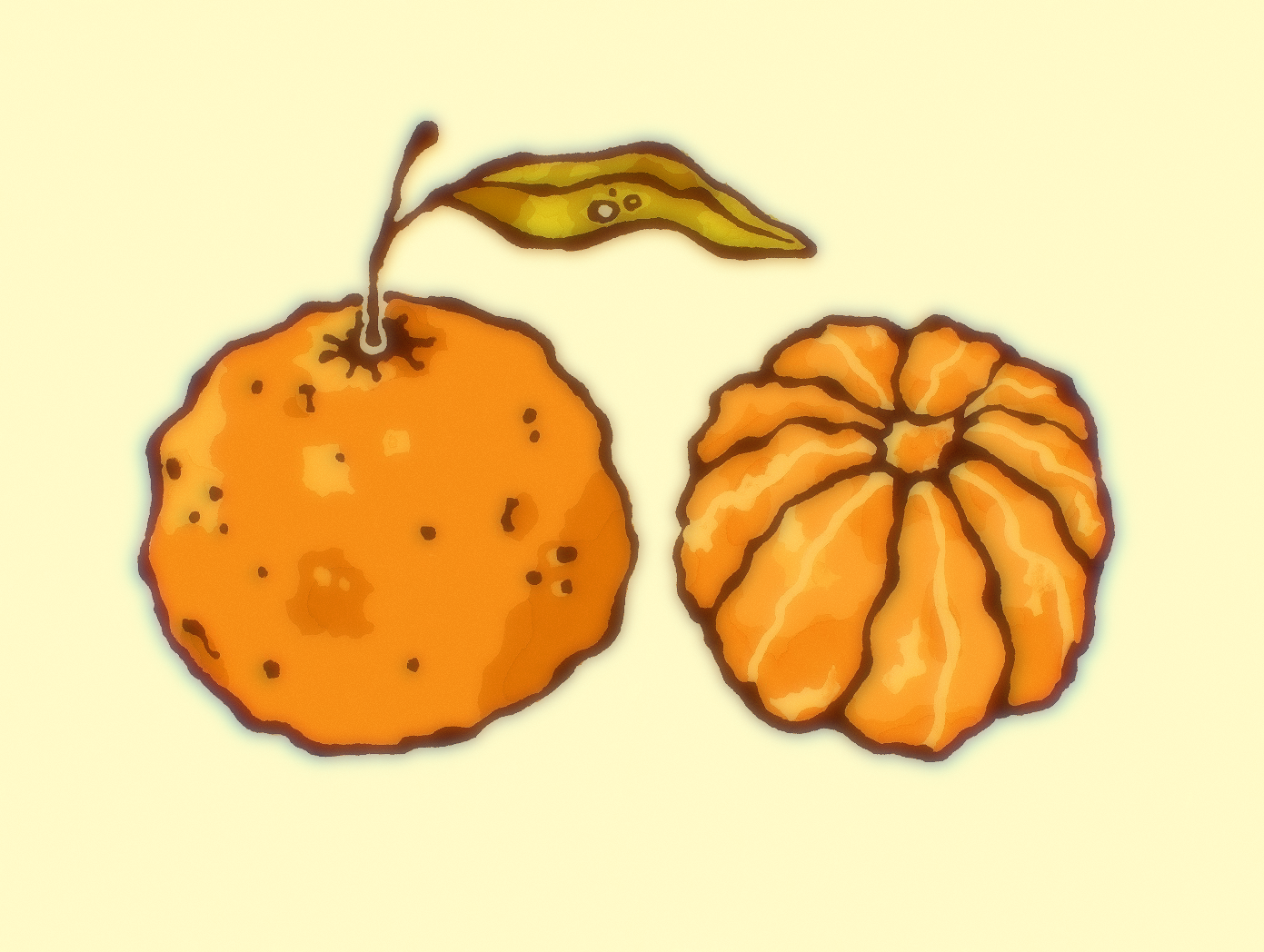 IMG_0406.png