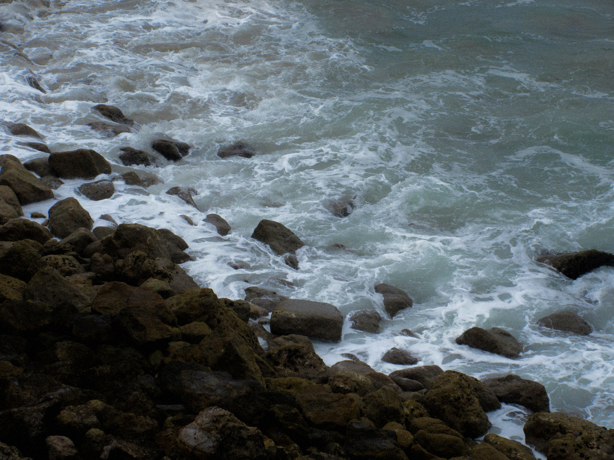 IMG_0026.png