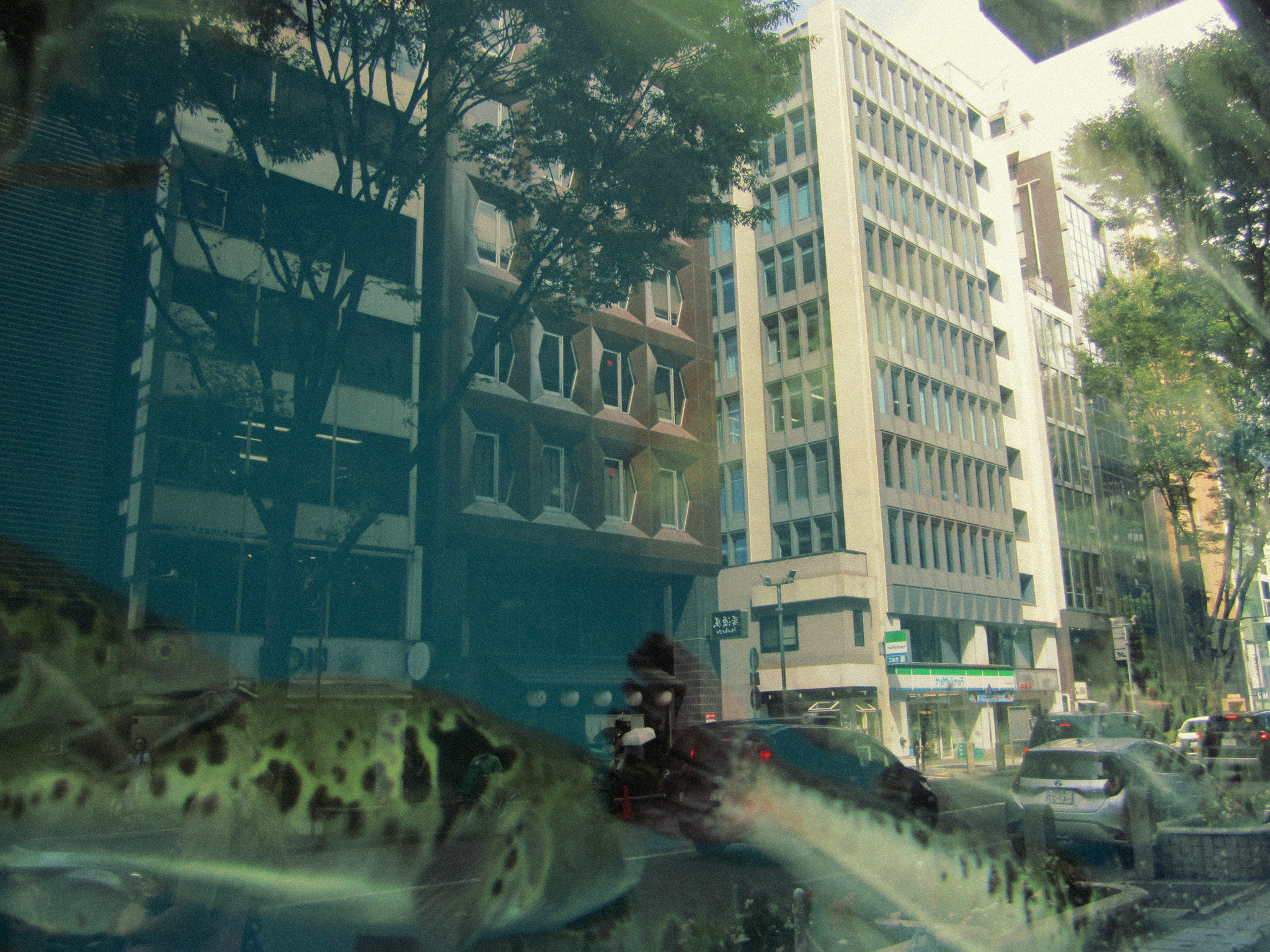 IMG_0055.png