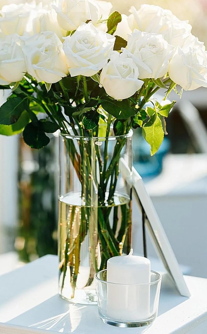 Glass Cylinder Vase