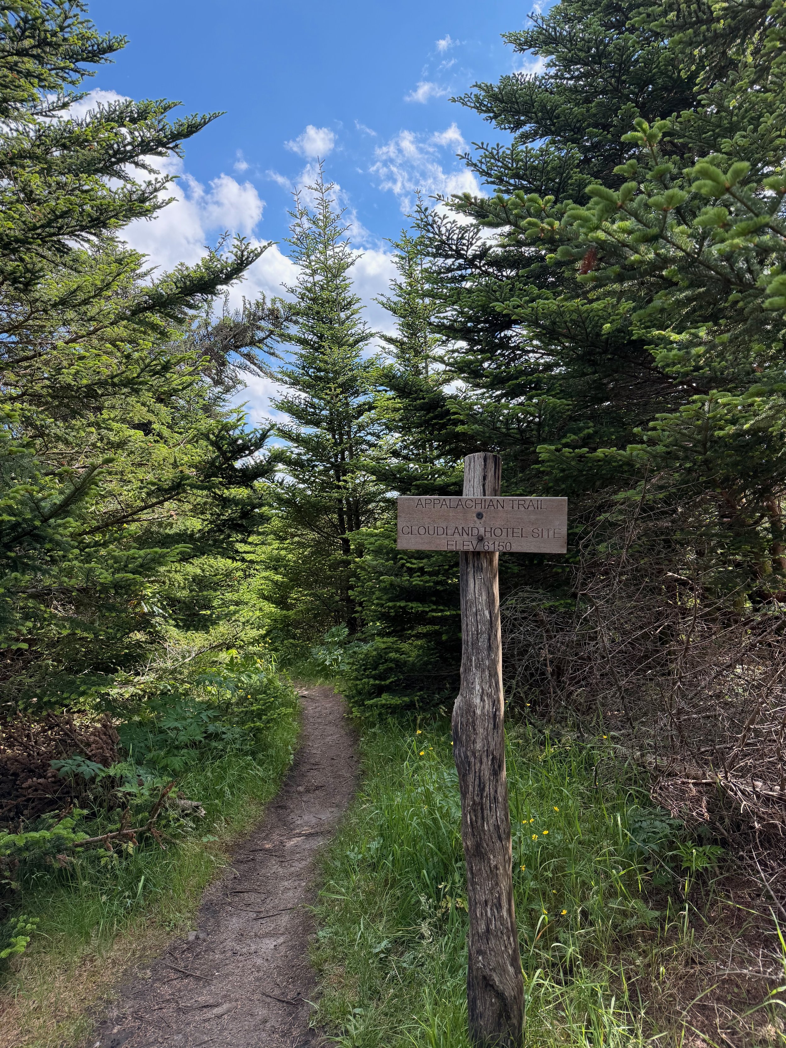 A dirt trail surrounded by lush green trees and grass, with a wooden signpost that reads 'Appalachian Trail, Cloudland Hotel Site, Elev 6150,' under a partly cloudy blue sky.