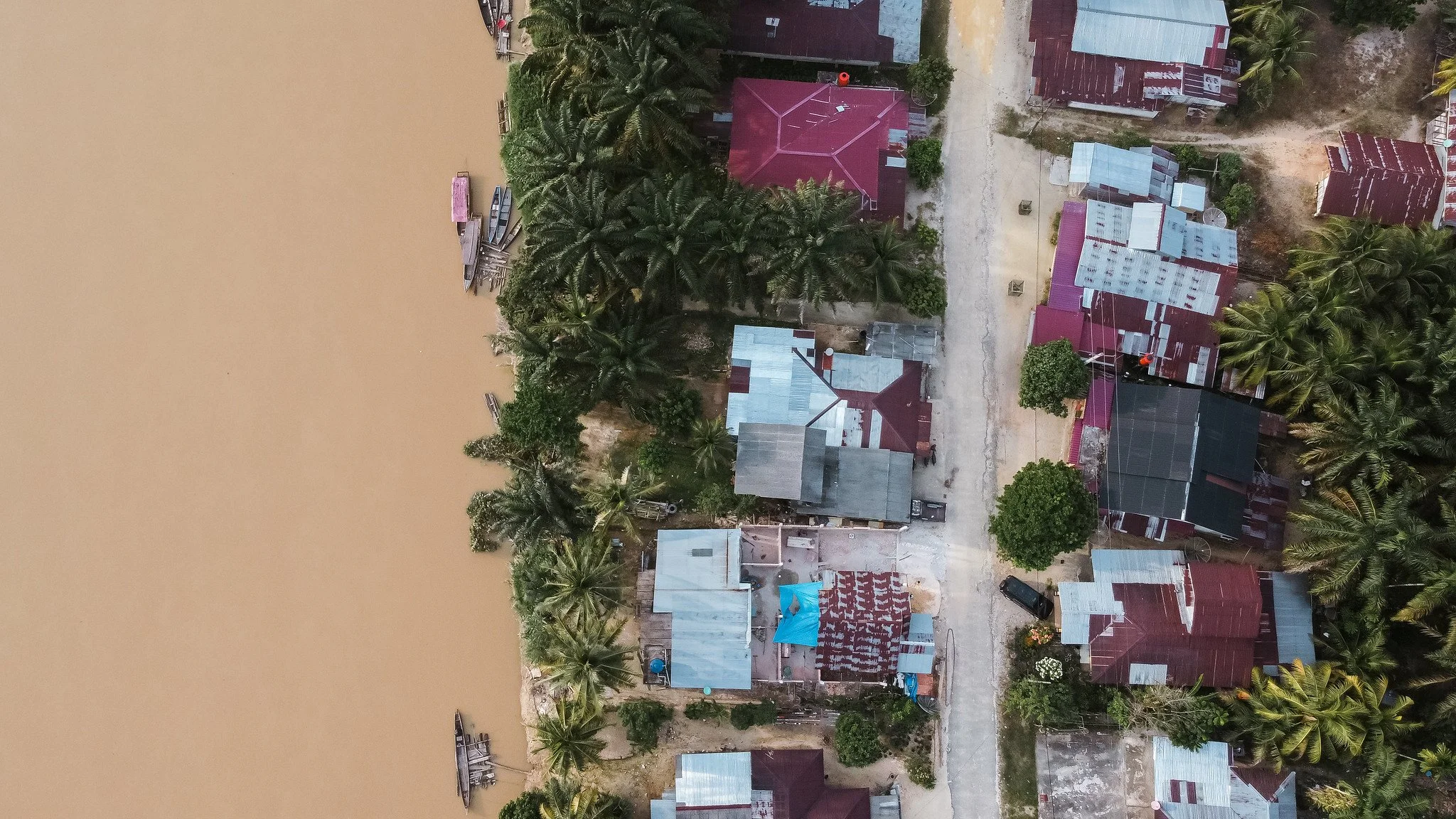 Aerial view of a coastal village with small houses, palm trees, and a narrow street, located next to a large body of water with a sandy shoreline using agritech and commercialisation from Monsoon Ventures