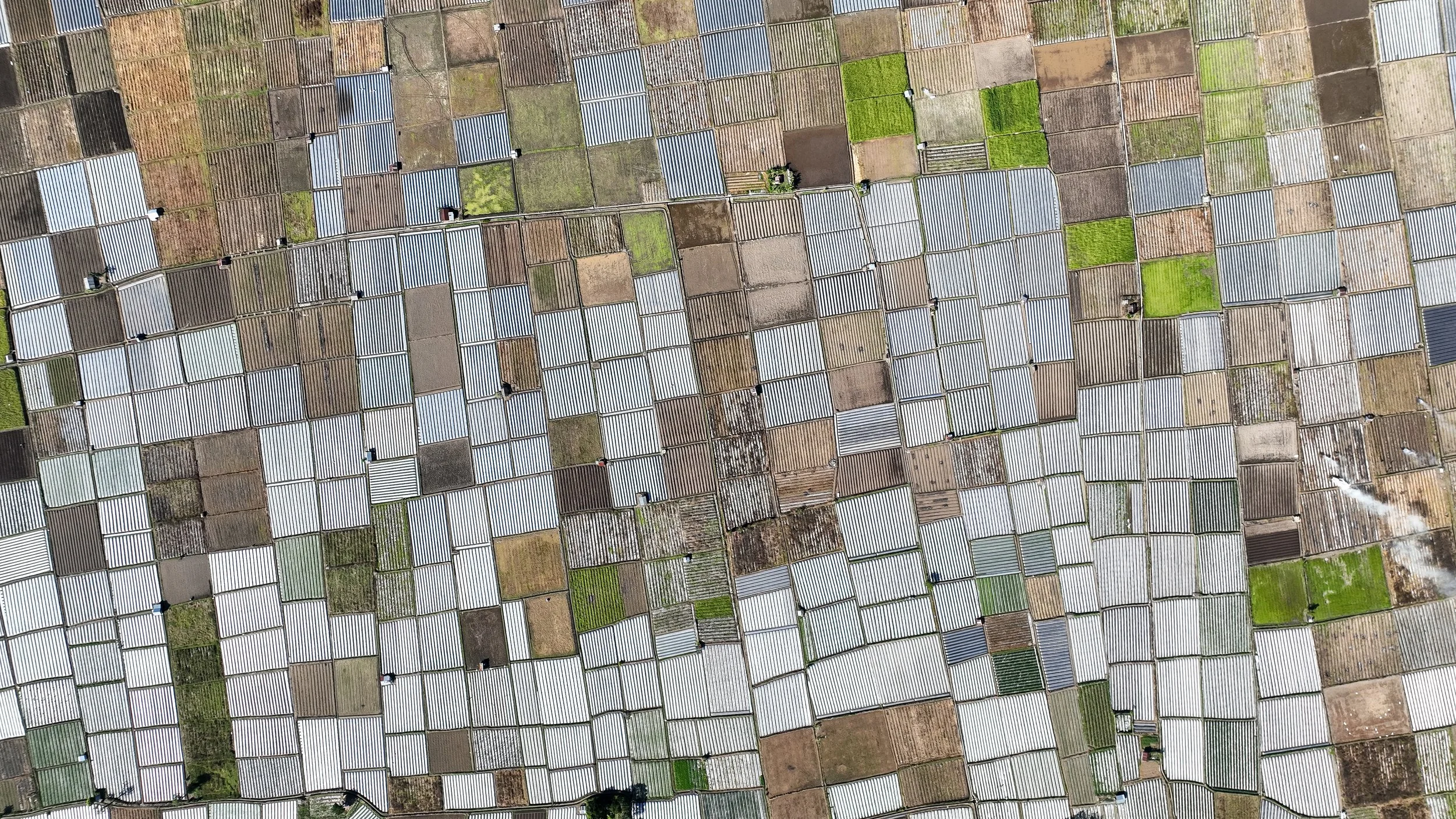 Aerial view of many greenhouses with corrugated metal roofs, arranged in a grid pattern with small pathways in between, using agritech technology from Monsoon Ventures