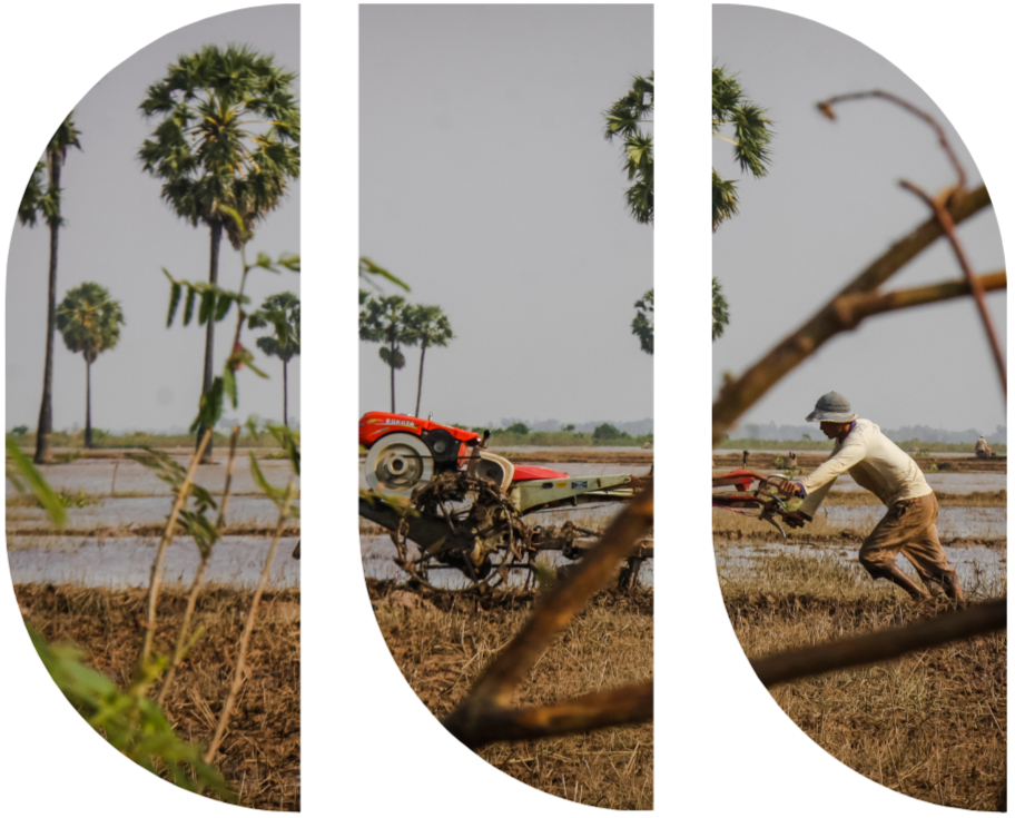 A farmer in a field operating a tractor during the daytime, with palm trees in the background using Monsoon Ventures agritech