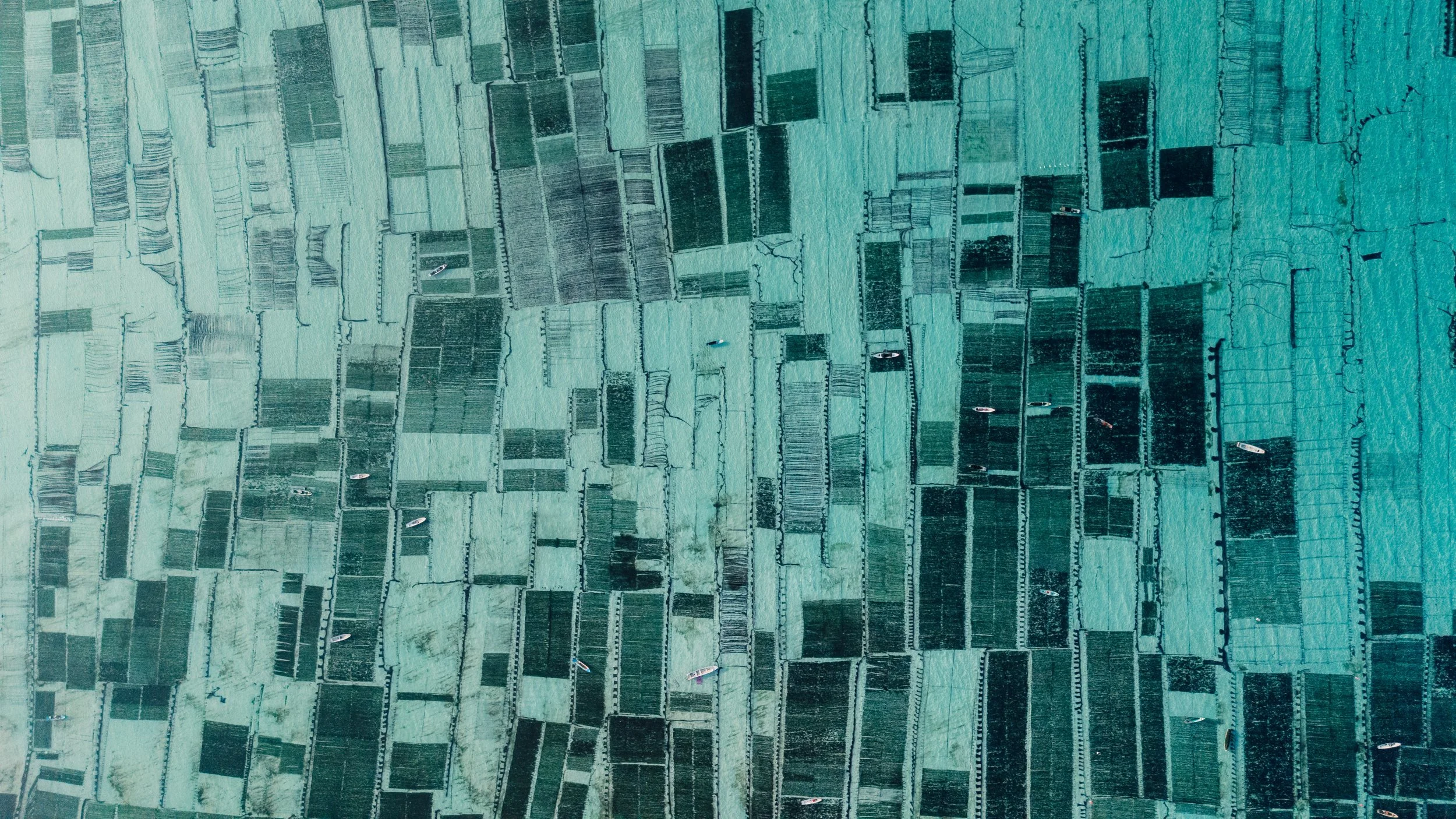 Aerial view of a large agricultural area with numerous rectangular plots of farmland separated by dirt roads  using agritech from Monsoon Ventures