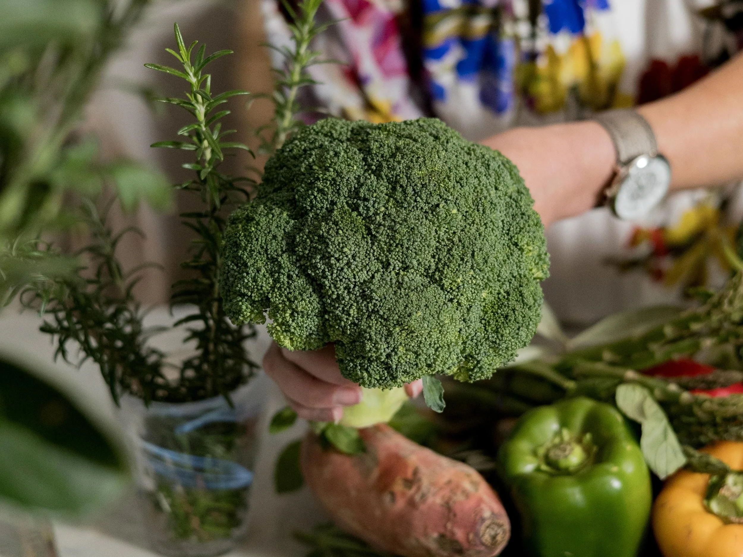 A person holding a broccoli crown among fresh vegetables and herbs at a market or grocery store.