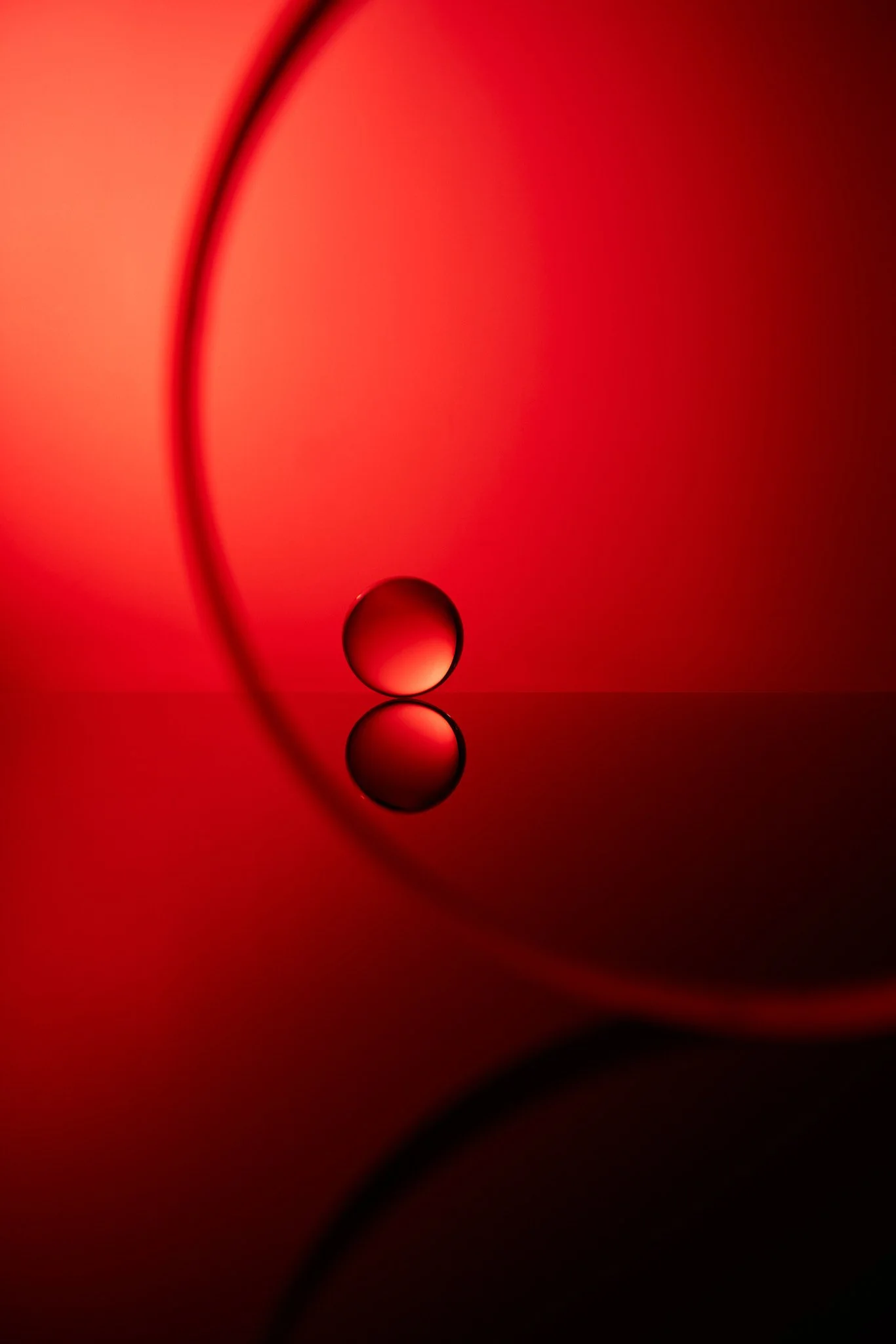 HughDaviesPhotography_0249.jpg