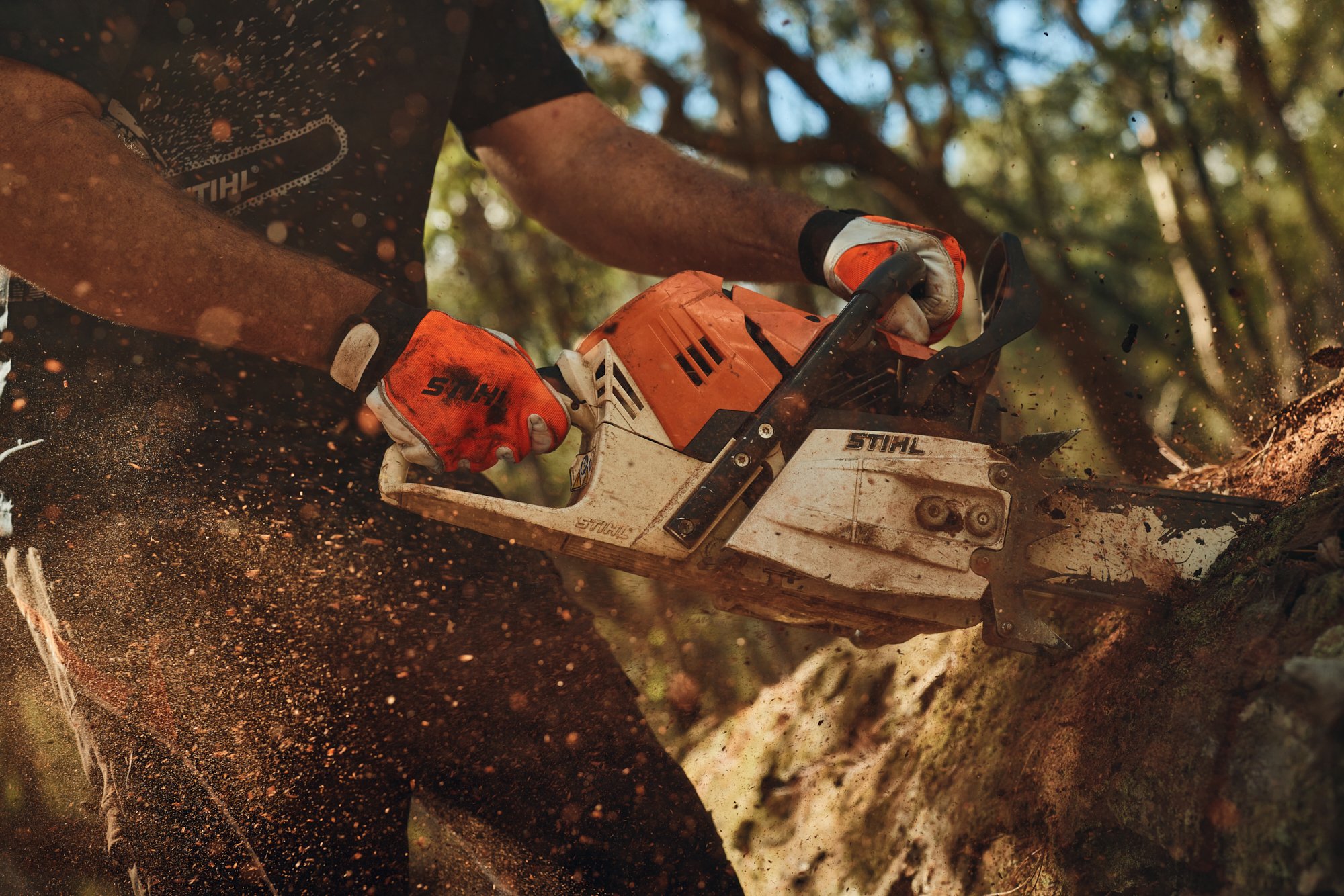 HughDaviesPhotography_STIHL_3222.jpg