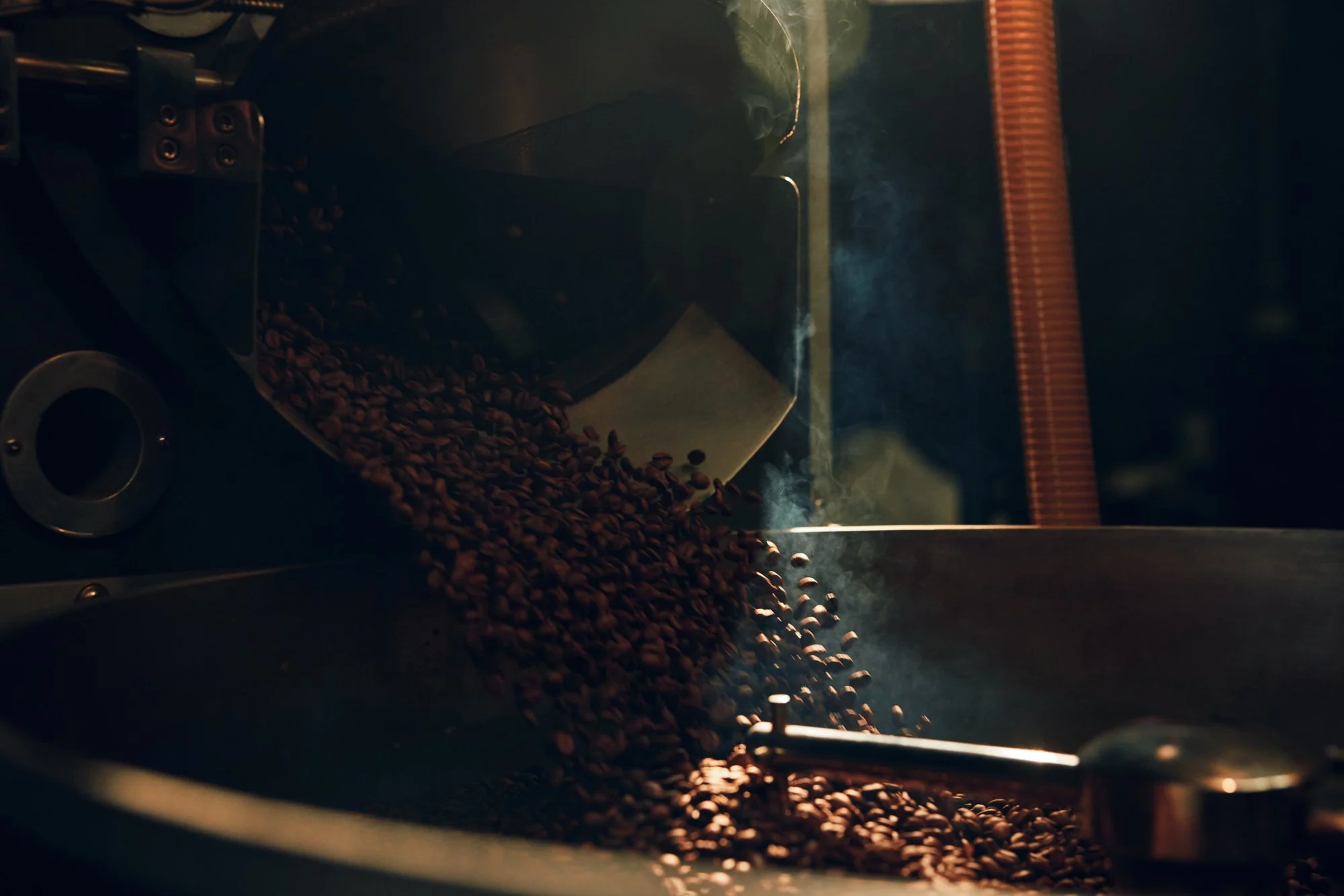 HughDaviesPhotography_MorningtonCoffee_3293.jpg