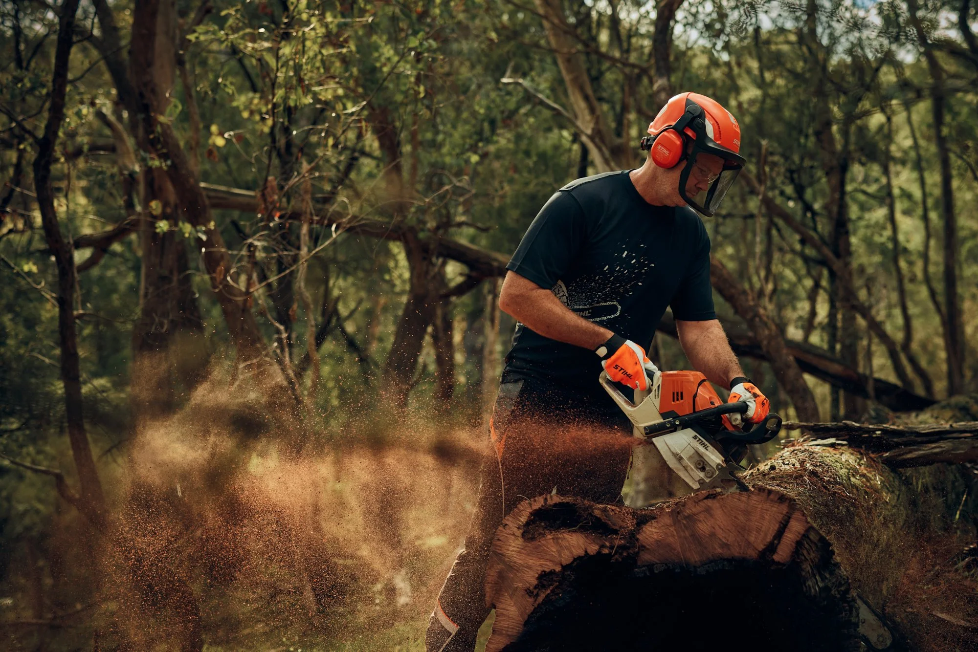 HughDaviesPhotography_STIHL_3220.jpg