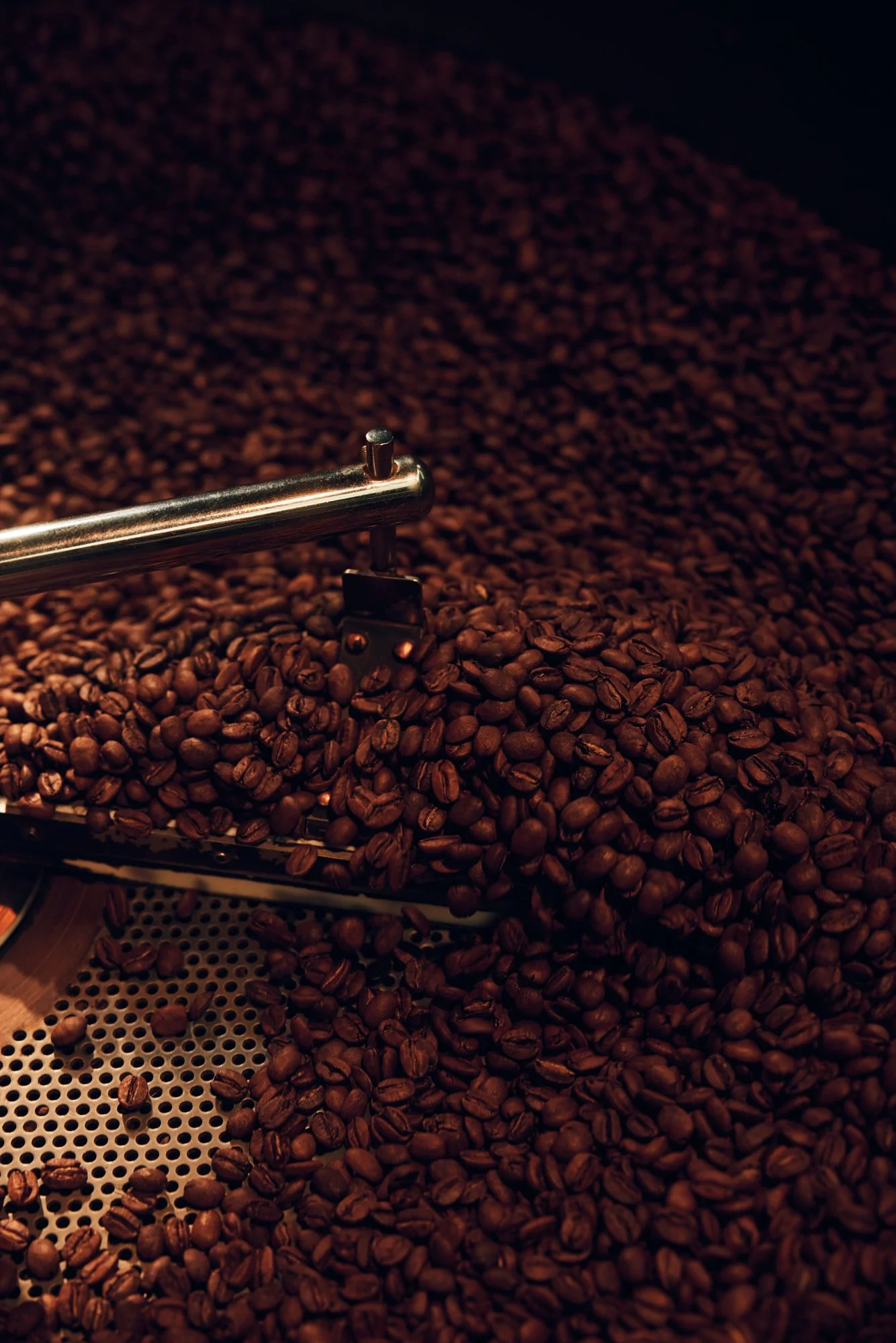 HughDaviesPhotography_MorningtonCoffee_3292.jpg