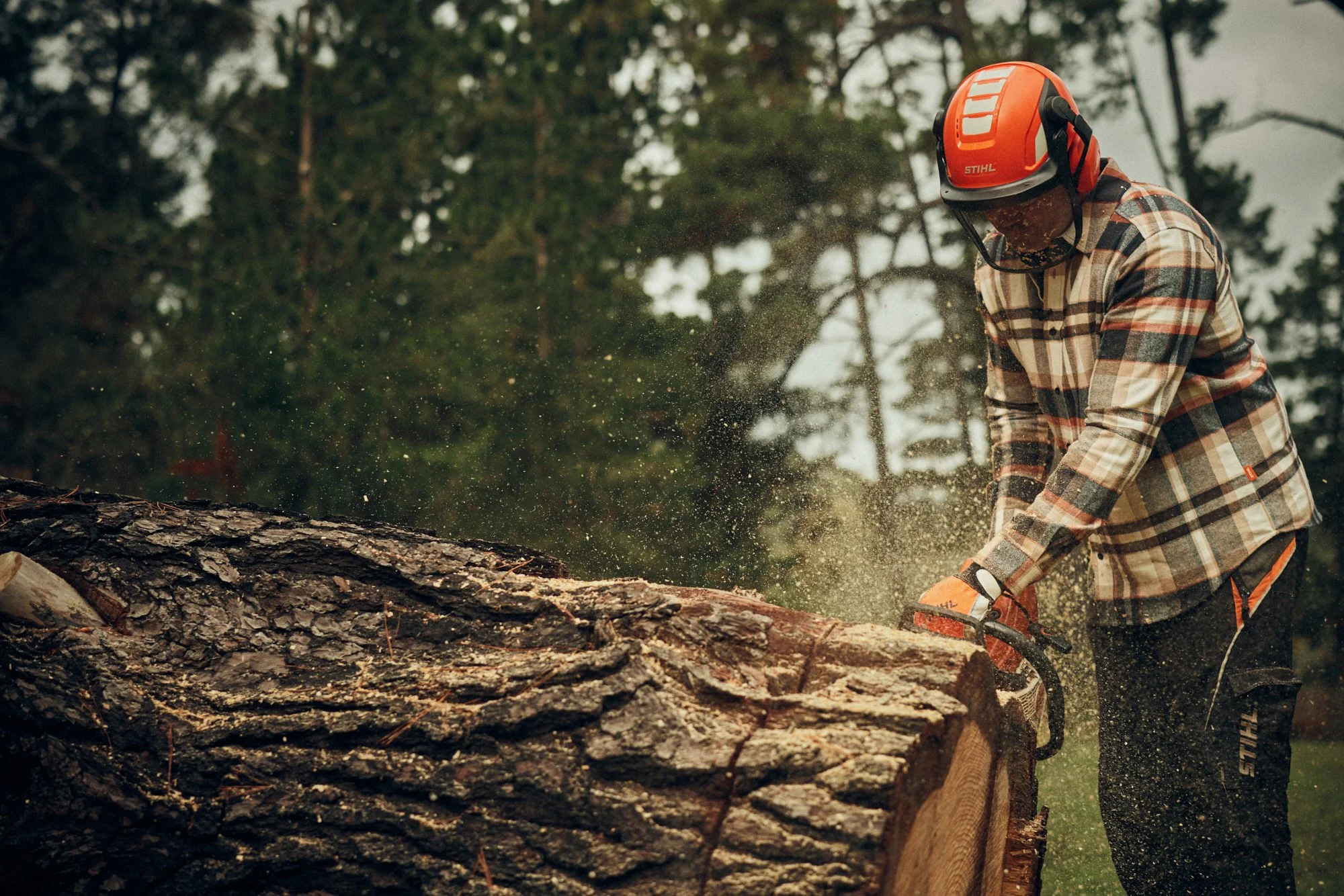 HughDaviesPhotography_STIHL_3227.jpg