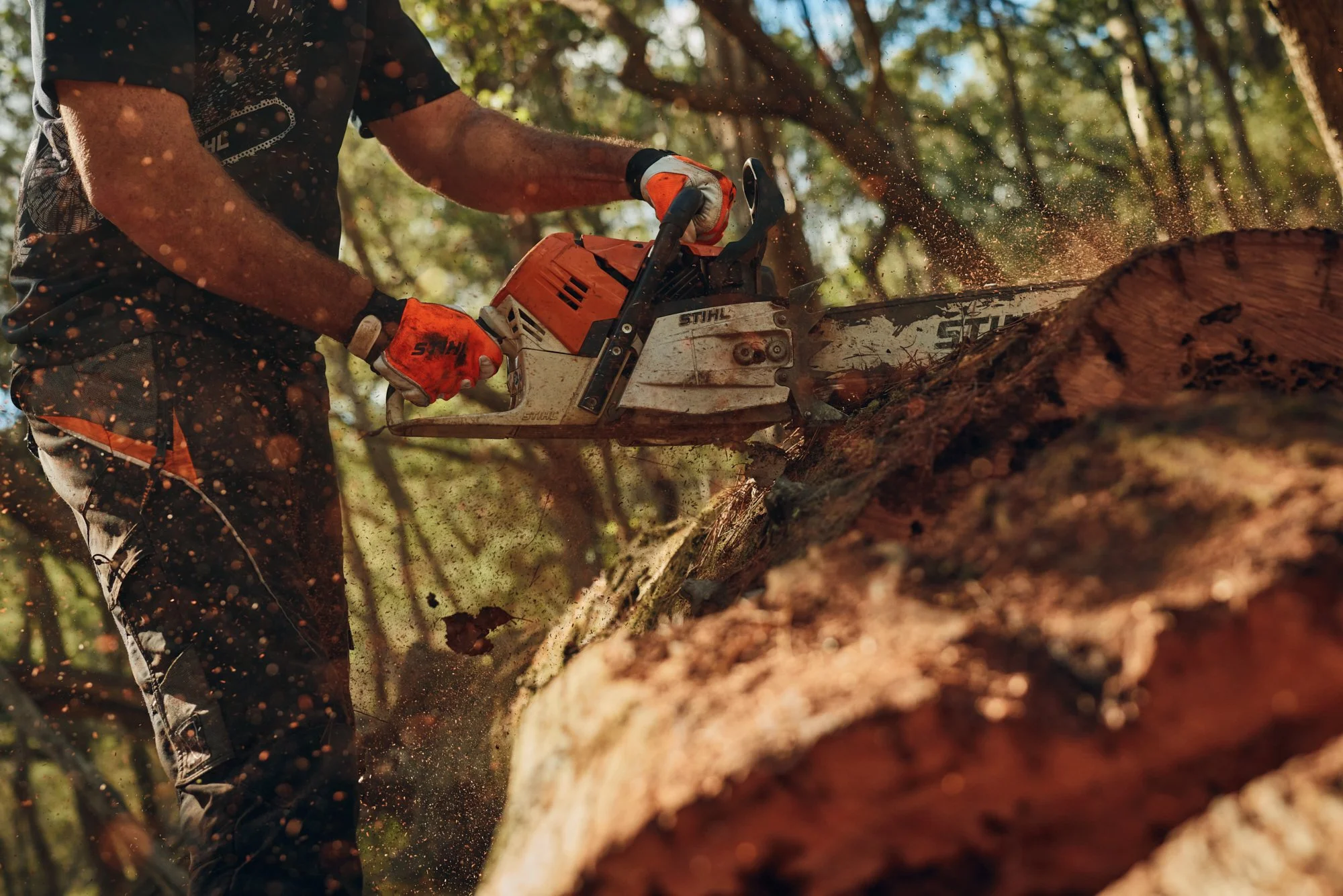 HughDaviesPhotography_STIHL_3221.jpg