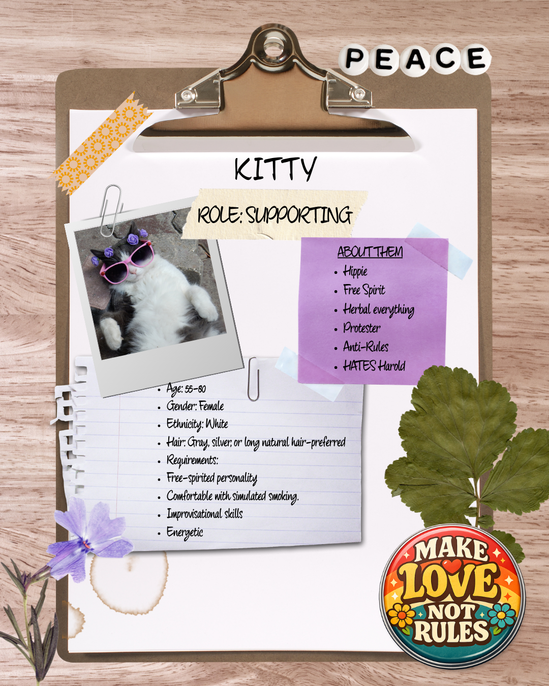 A clipboard with a personality profile for a cat named Kitty, including a photo of a gray and white cat wearing pink sunglasses and purple headbands. The profile lists age, gender, ethnicity, hair color, and personality traits. The page has decorativ