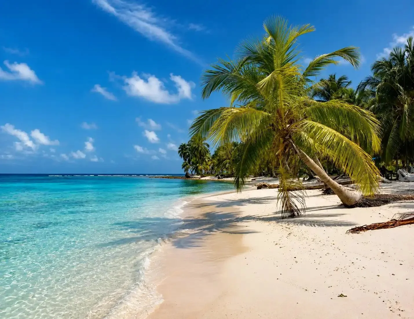Tropisch strand met palmbomen, wit zand, heldere turquoise zee en blauwe lucht met wat wolken.