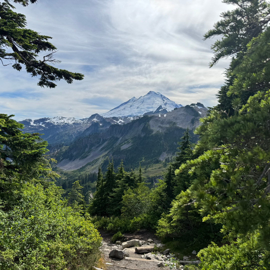 Snow-capped mountain with surrounding green forest and cloudy sky in the background